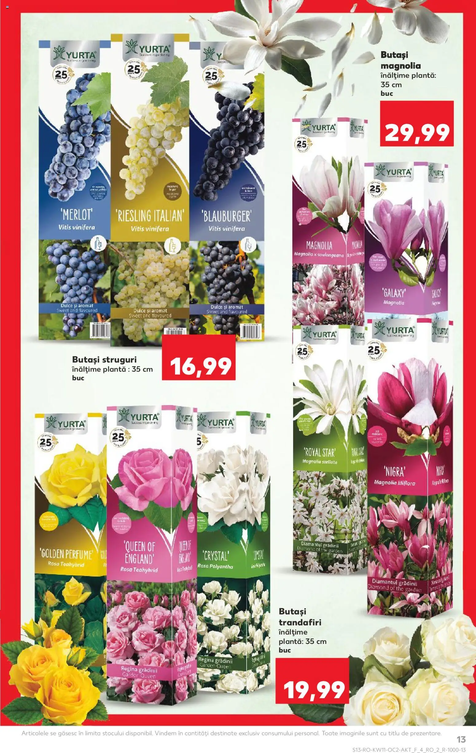 Catalog Kaufland 11 - 16 Martie 2026 | Pagina 13 | Produse: Struguri