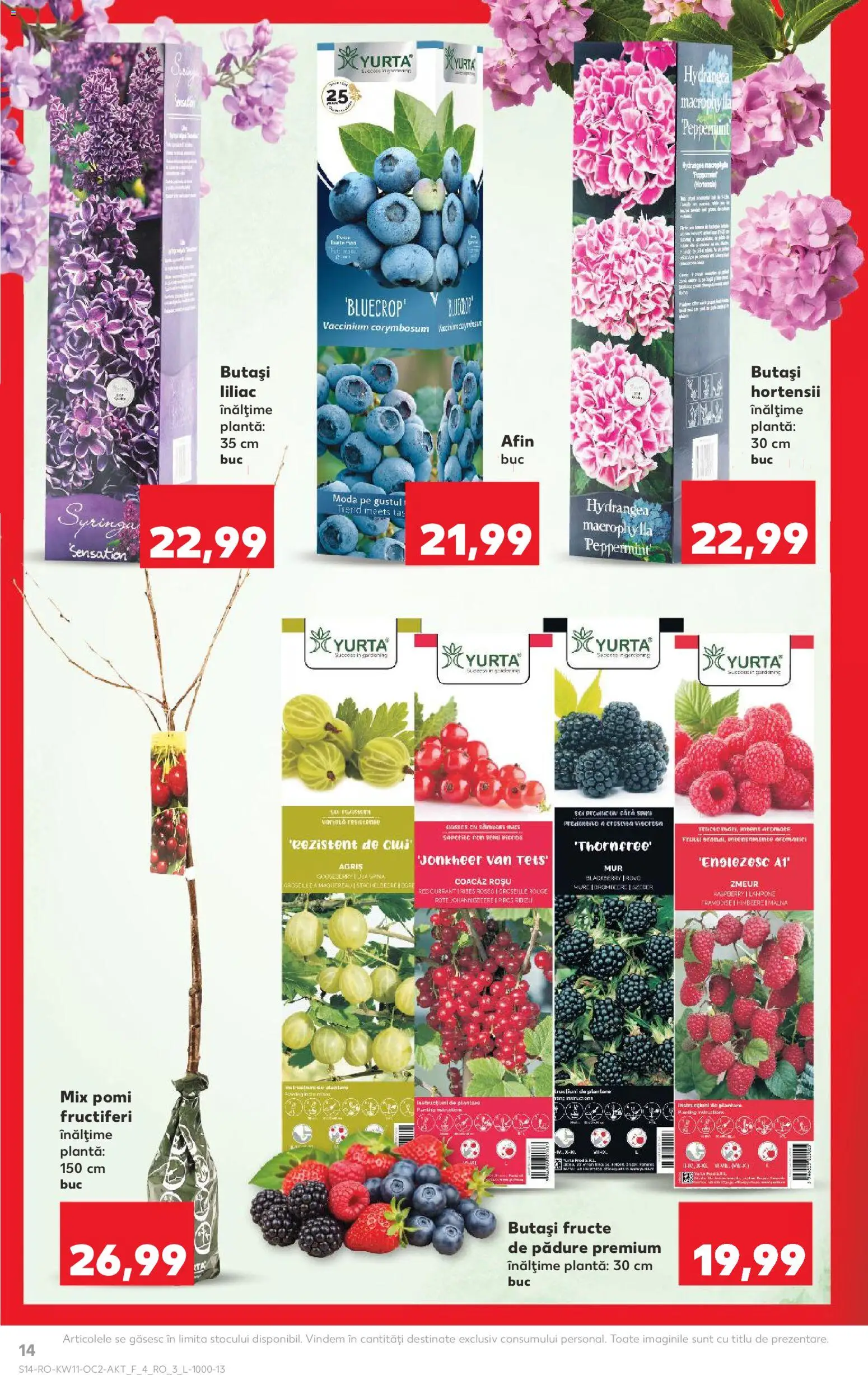 Catalog Kaufland 11 - 16 Martie 2026 | Pagina 14 | Produse: Fructe