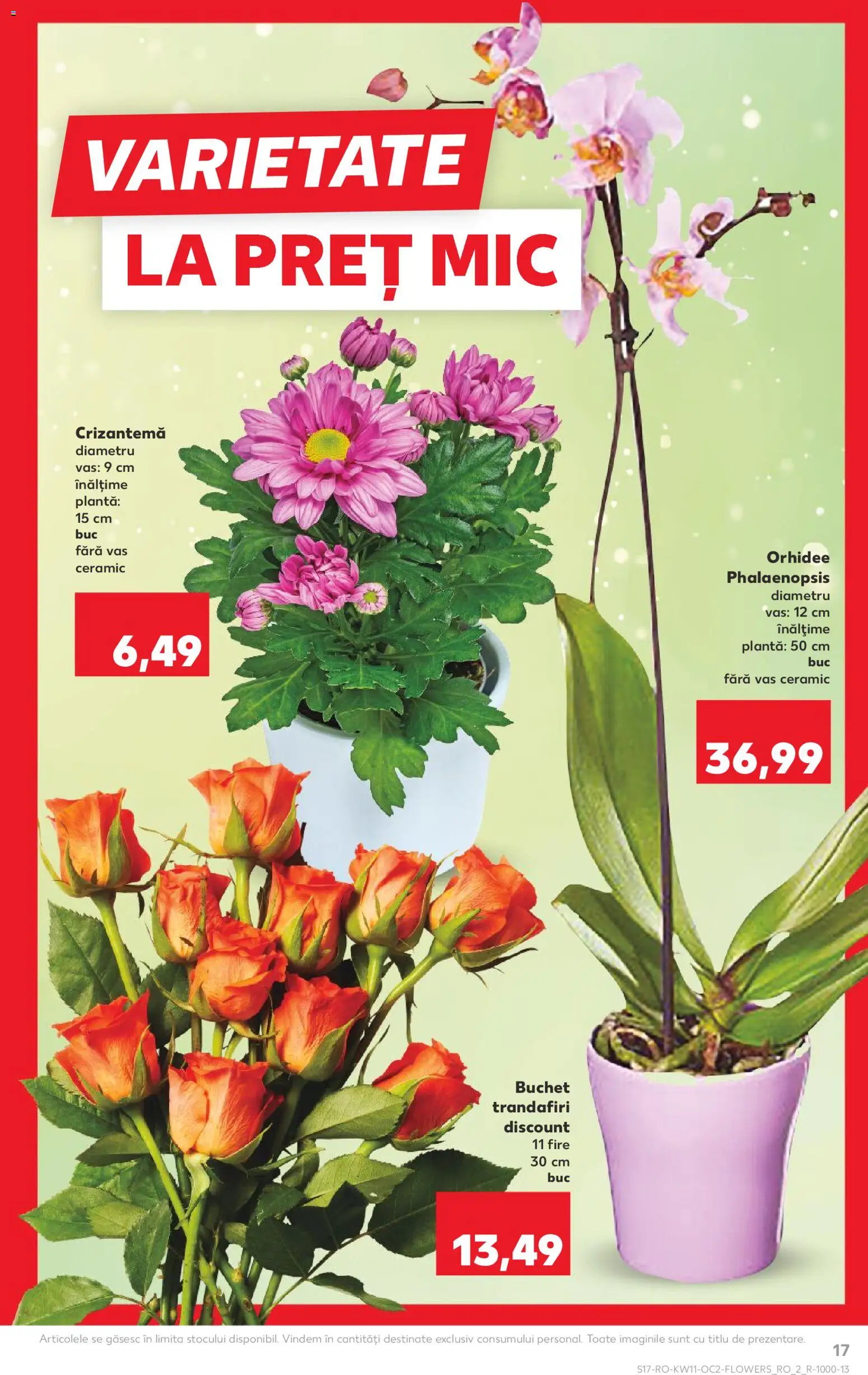 Catalog Kaufland 11 - 16 Martie 2026 | Pagina 17 | Produse: Orhidee
