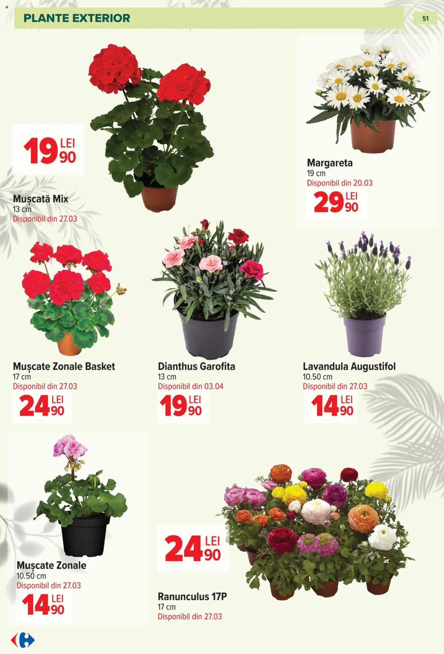Catalog Carrefour 11 Martie - 11 Mai 2026 | Pagina 51
