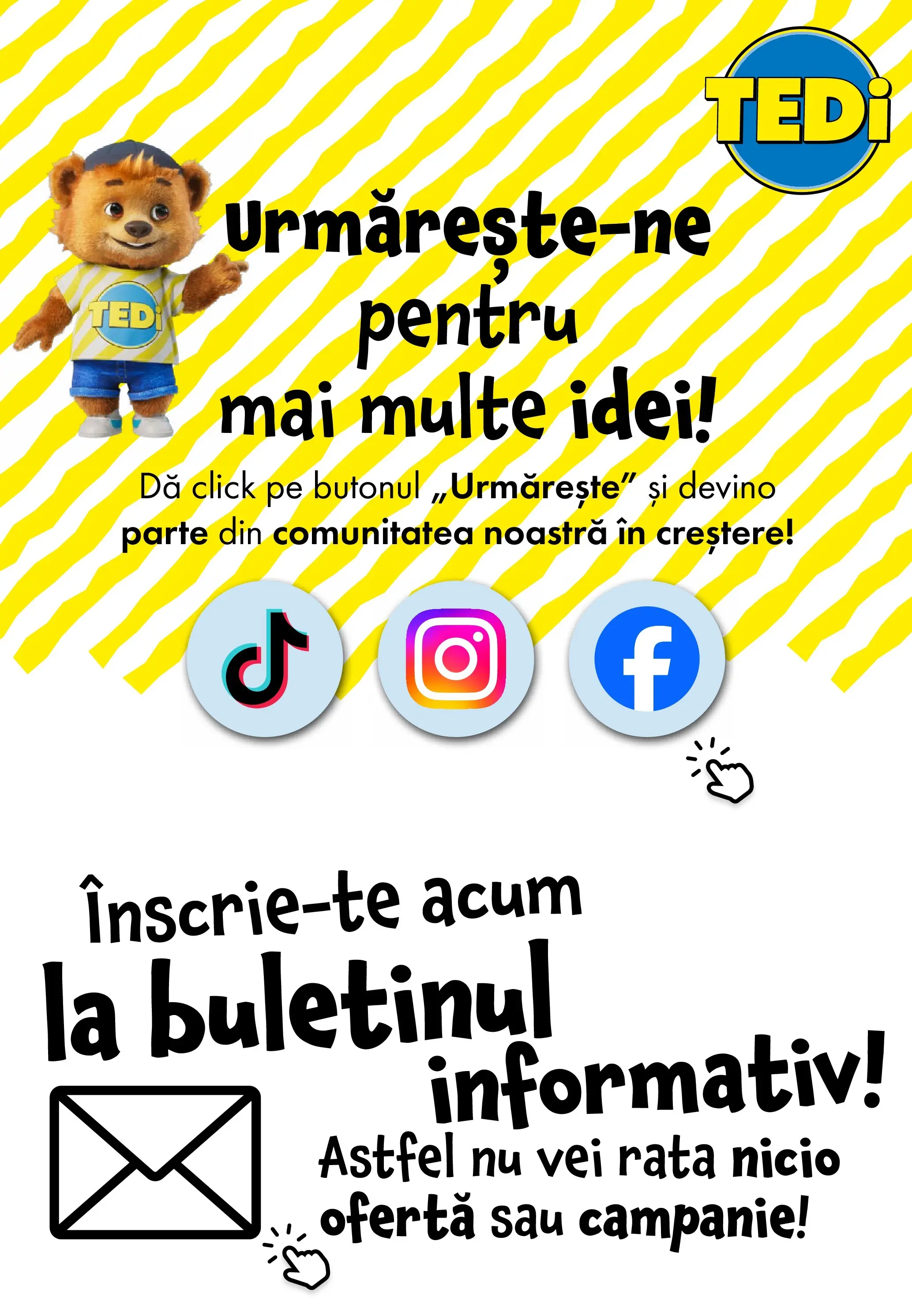 Catalog TEDi 13 - 21 Martie 2026 | Pagina 33 | Produse: Rață