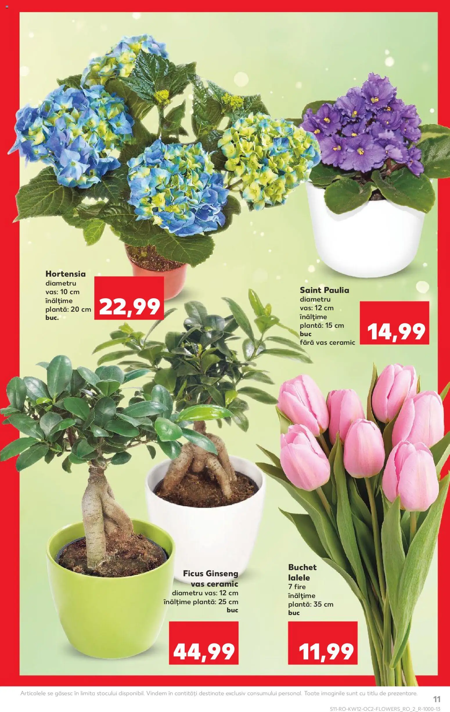 Catalog Kaufland 18 - 23 Martie 2026 | Pagina 11