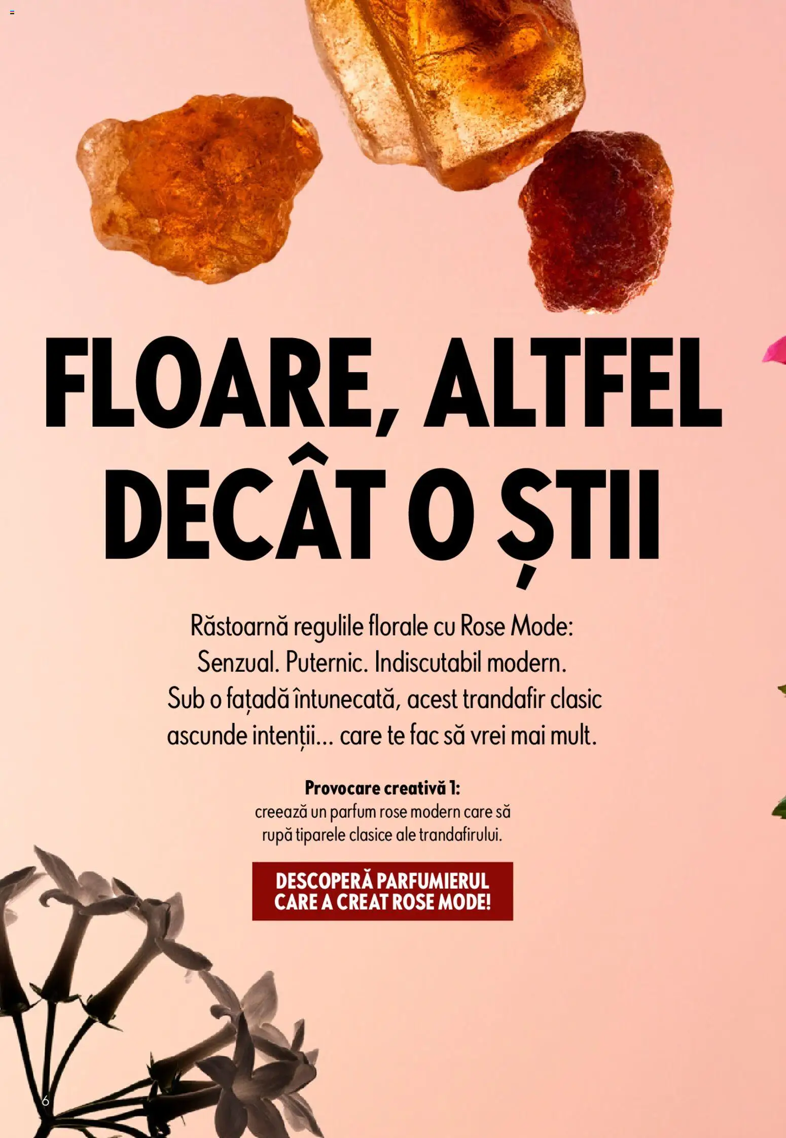 Catalog Oriflame 15 Aprilie - 4 Mai 2026 | Pagina 6 | Produse: Trandafir, Parfum