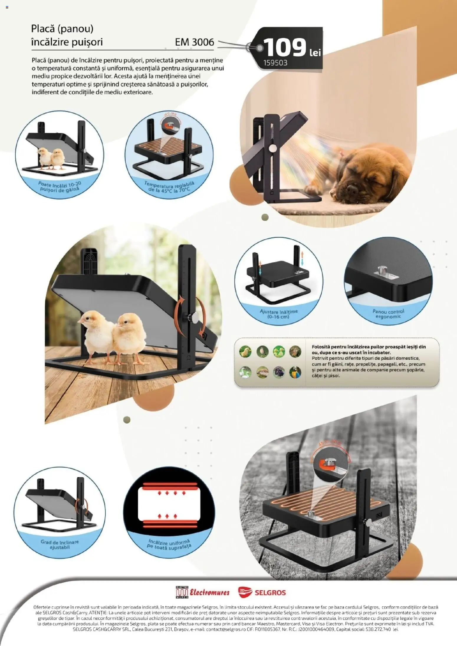 Catalog Selgros 13 Martie - 20 Mai 2026 | Pagina 6