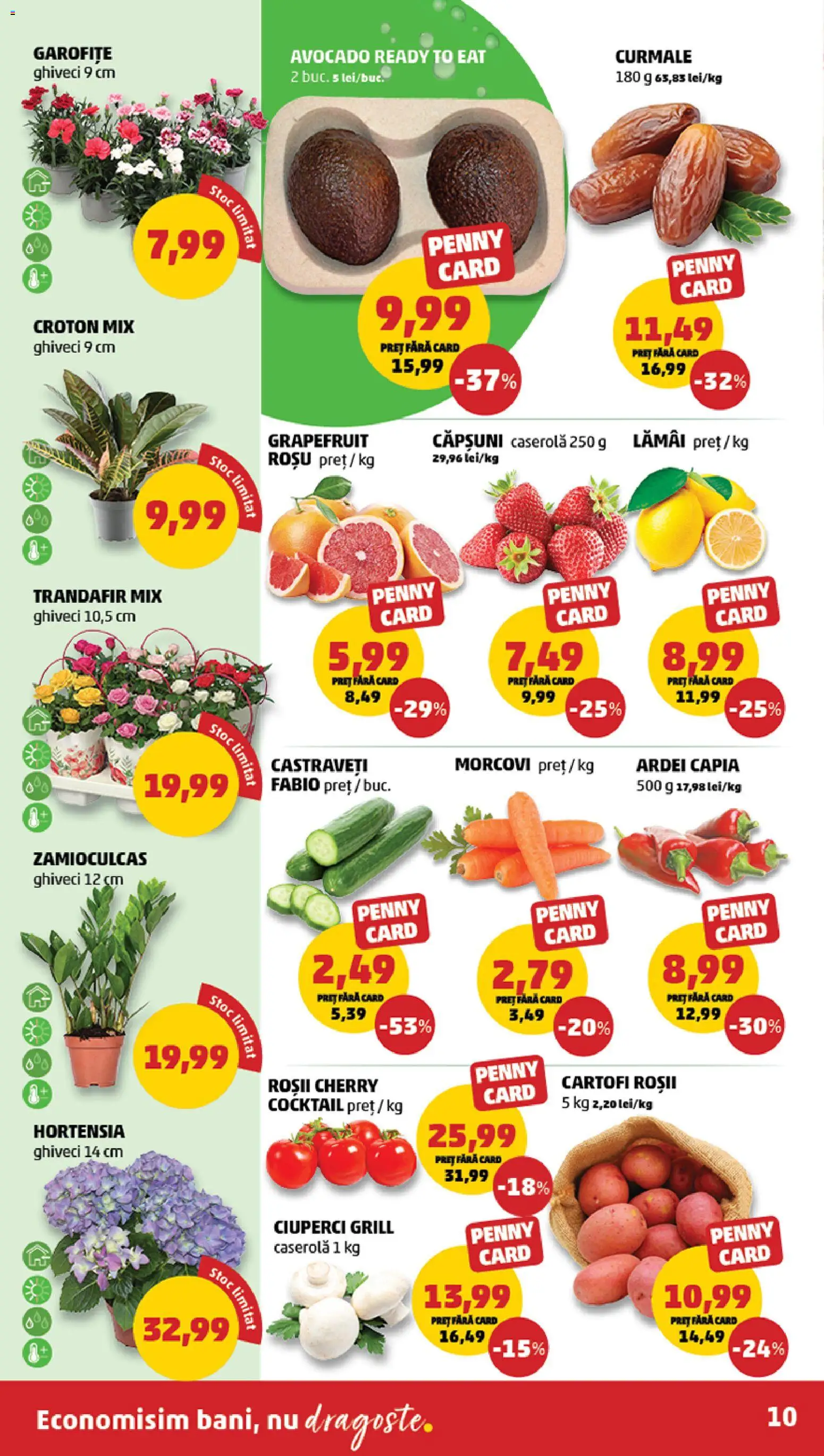 Catalog PENNY Market 18 - 23 Martie 2026 | Pagina 10 | Produse: Trandafir, Ciuperci, Ardei, Morcovi