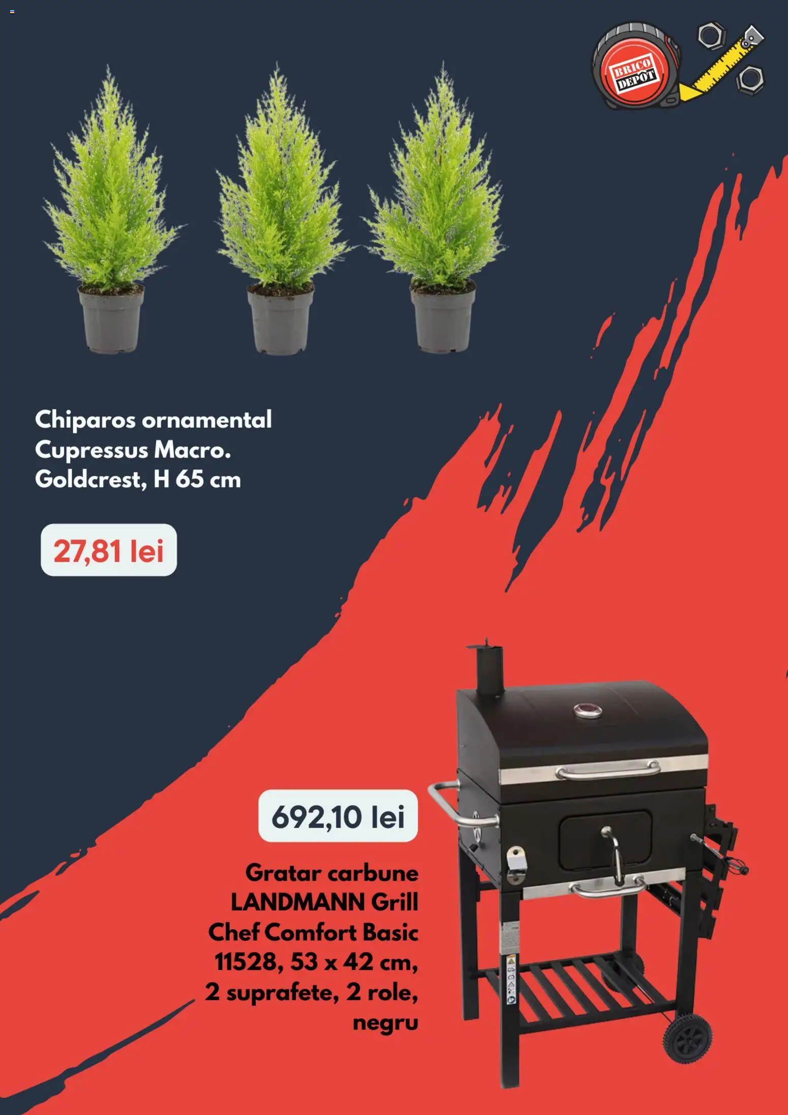 Catalog Brico Depot 19 - 31 Martie 2026 | Pagina 3 | Produse: Grill, Grătar