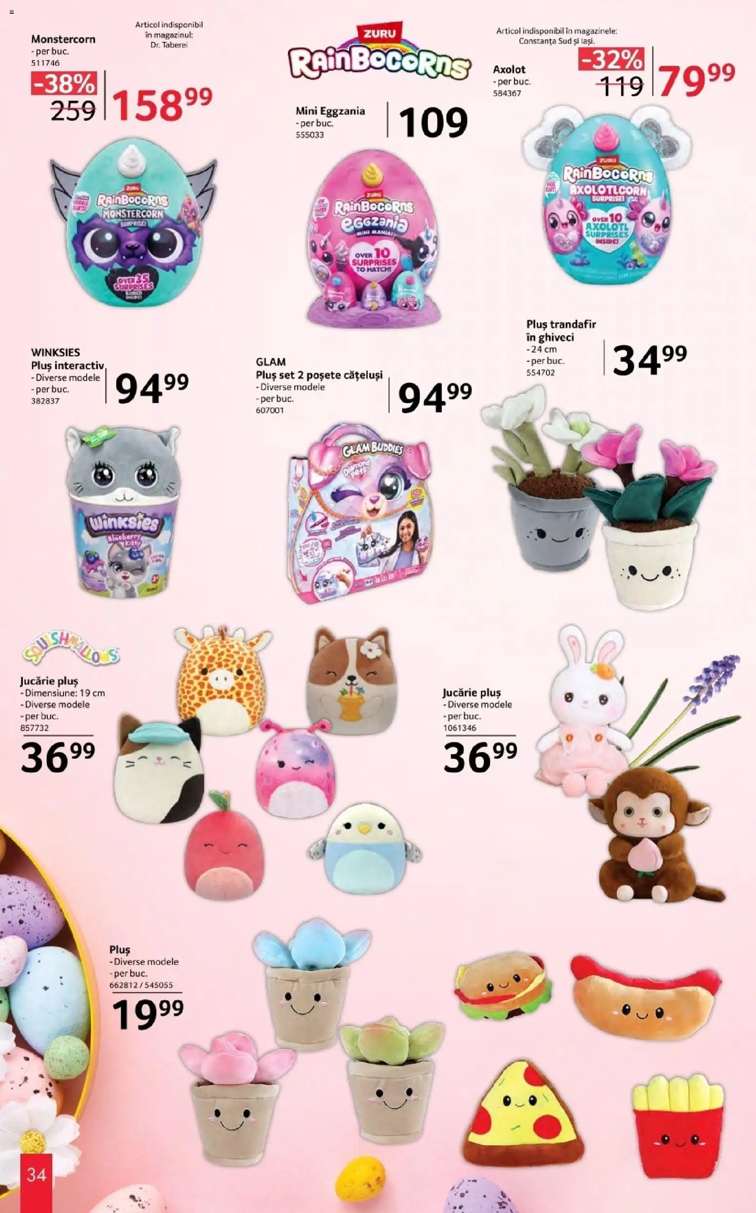 Catalog Selgros 20 Martie - 10 Aprilie 2026 | Pagina 34 | Produse: Trandafir, Ghiveci