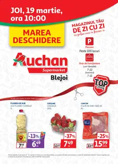 Catalog Auchan