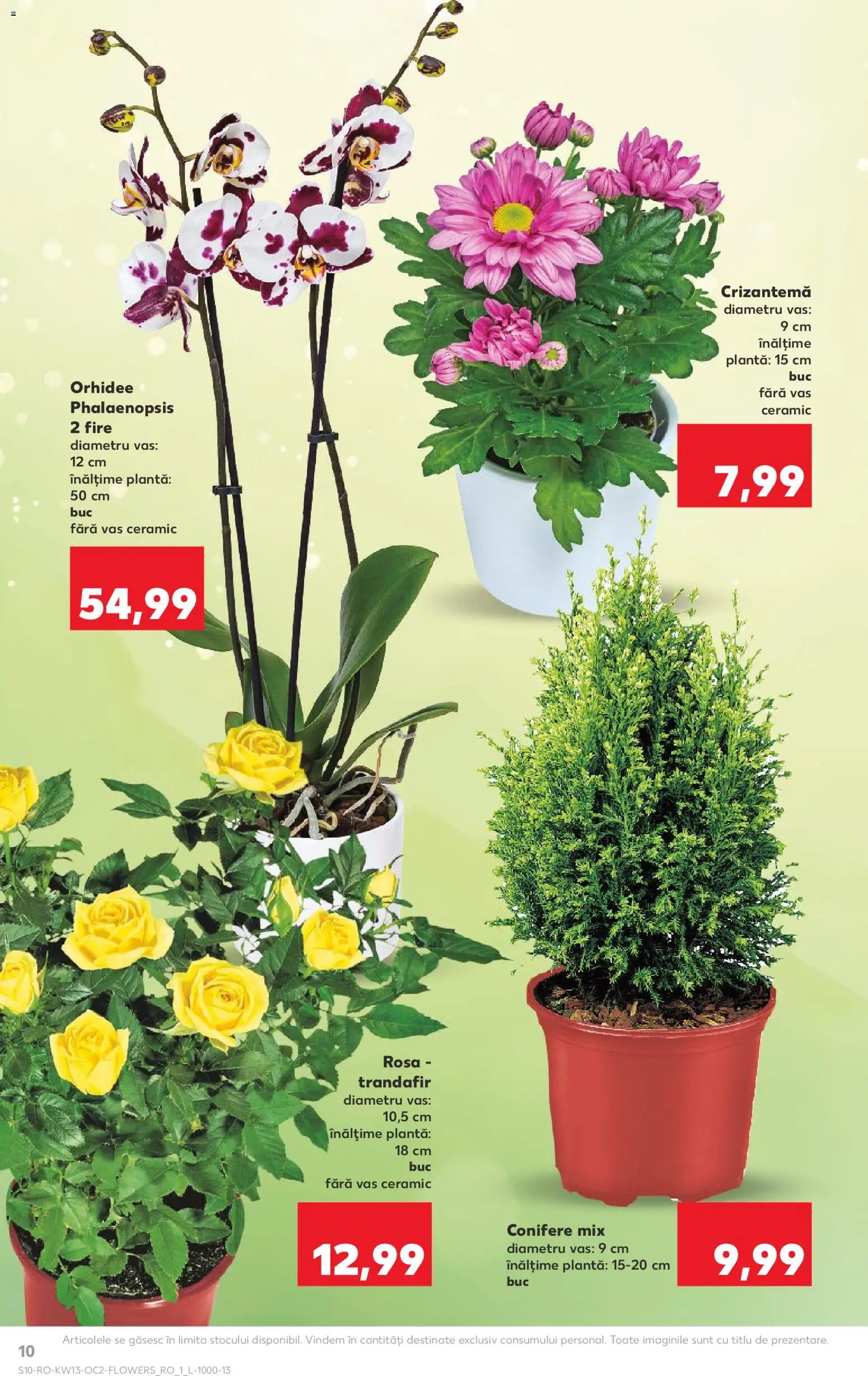 Catalog Kaufland 25 - 30 Martie 2026 | Pagina 10 | Produse: Trandafir, Orhidee