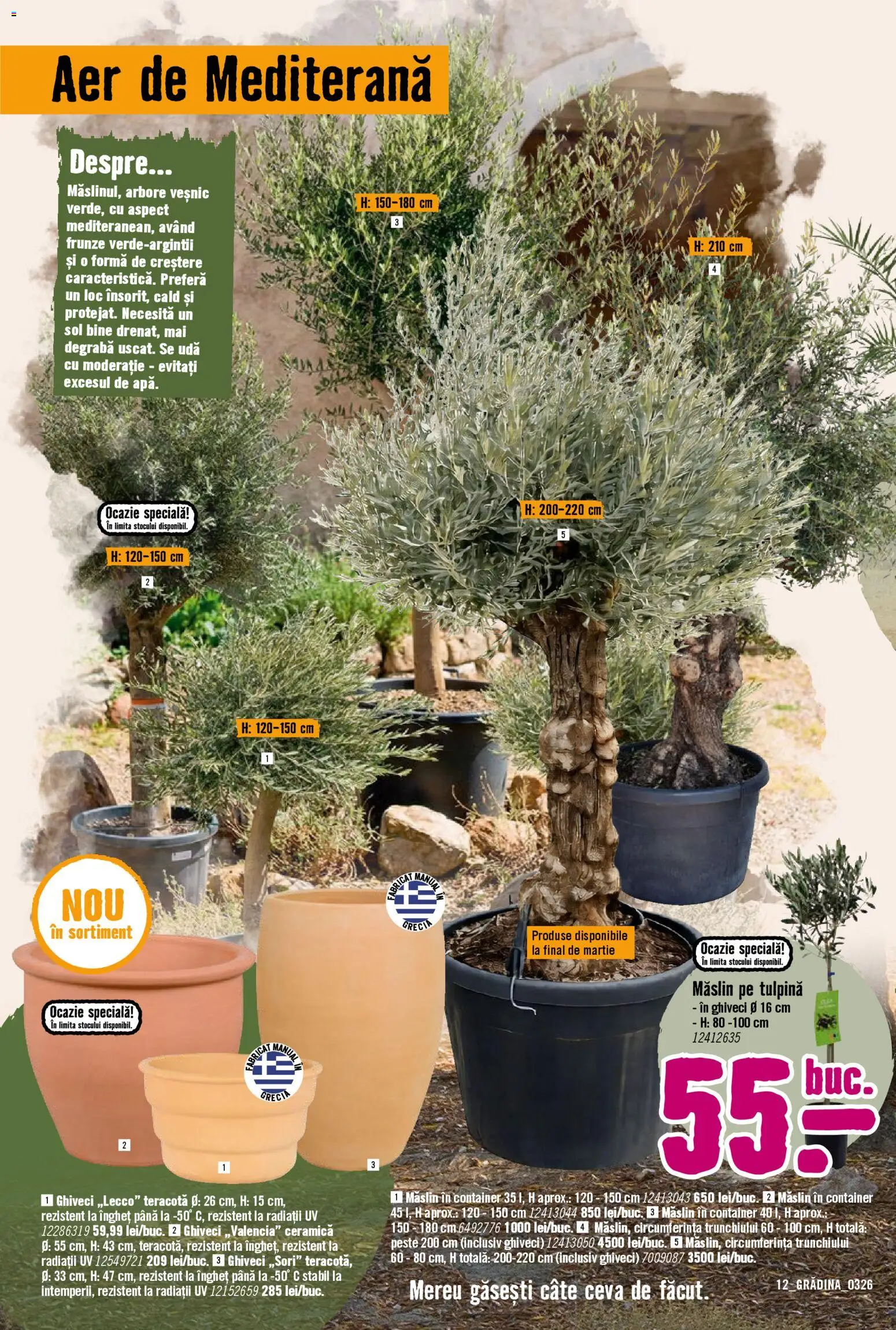 Catalog Hornbach 23 Martie - 21 Aprilie 2026 | Pagina 12 | Produse: Ghiveci, Pește