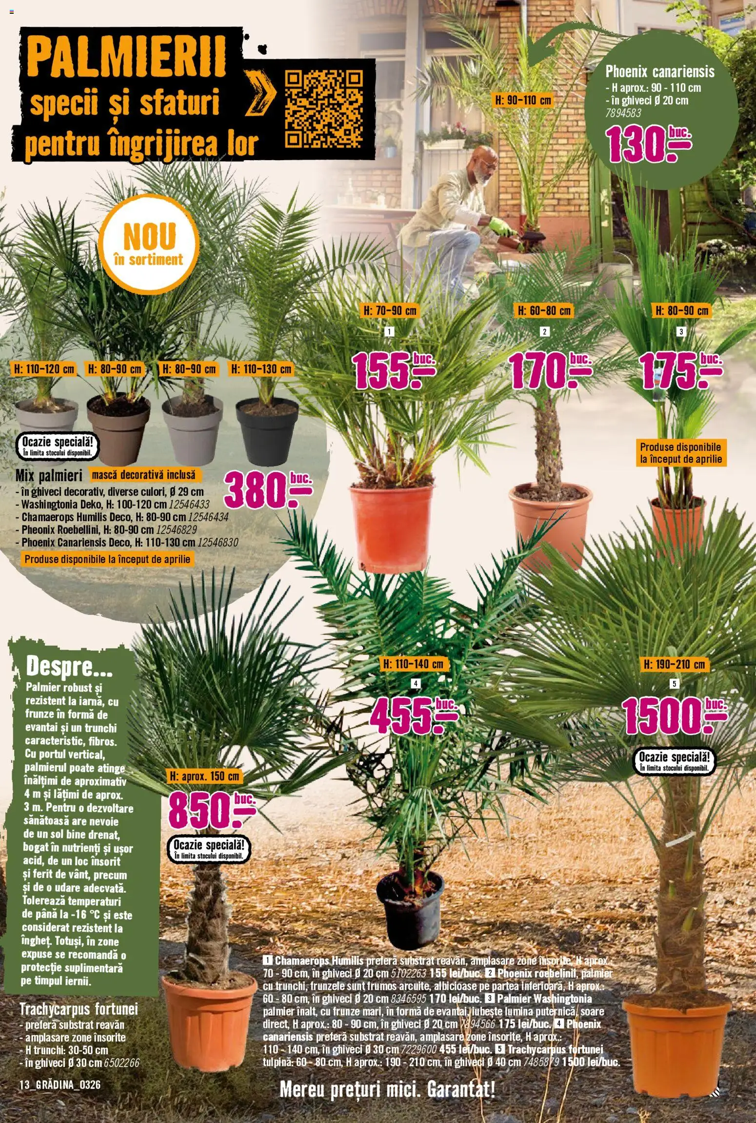 Catalog Hornbach 23 Martie - 21 Aprilie 2026 | Pagina 13 | Produse: Tavuk suyu, Ghiveci