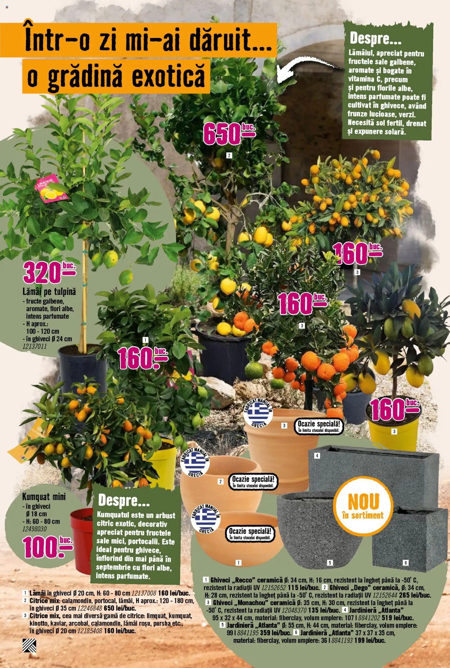 Catalog Hornbach 23 Martie - 21 Aprilie 2026 | Pagina 14 | Produse: Ghiveci, Fructe