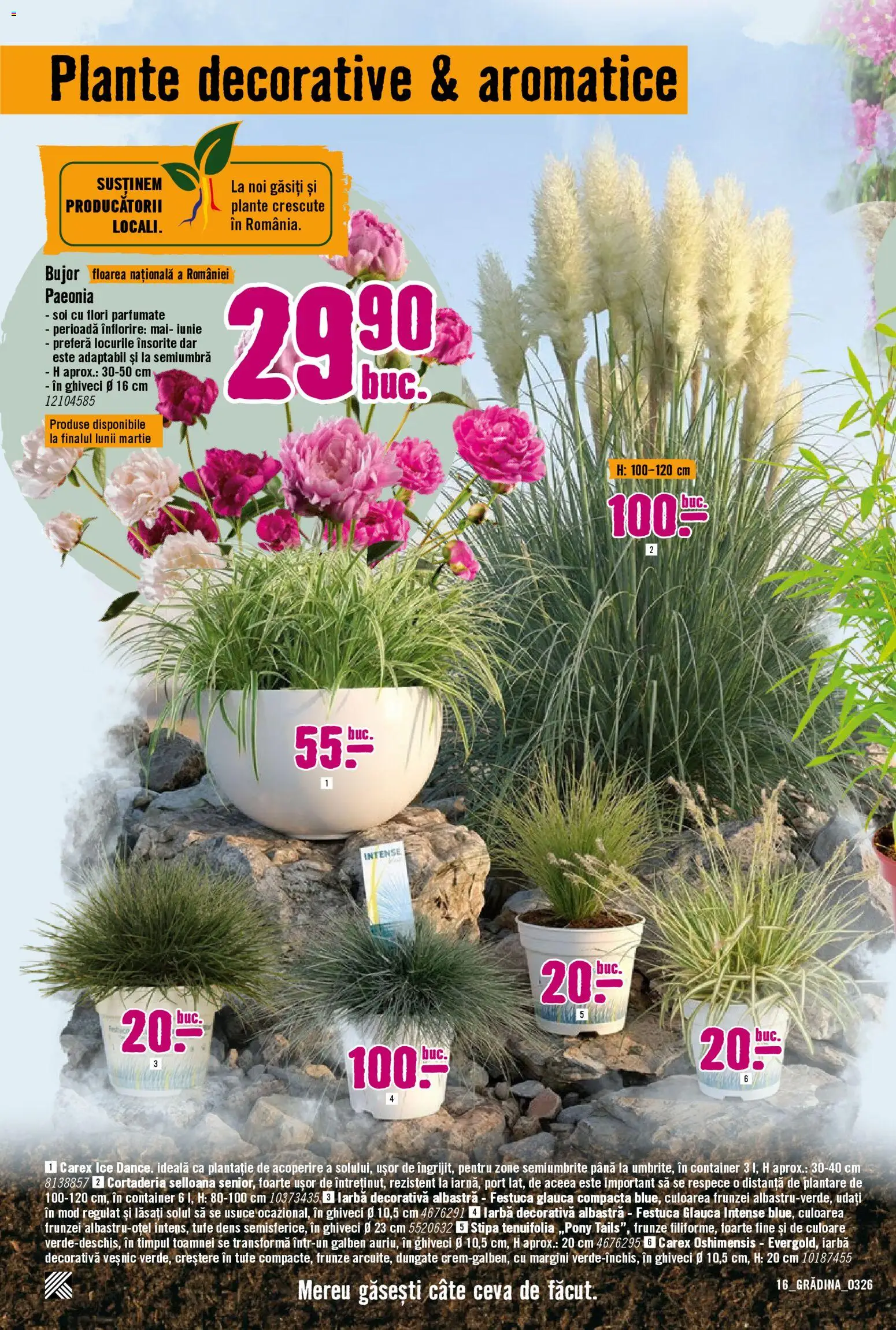 Catalog Hornbach 23 Martie - 21 Aprilie 2026 | Pagina 16 | Produse: Ghiveci