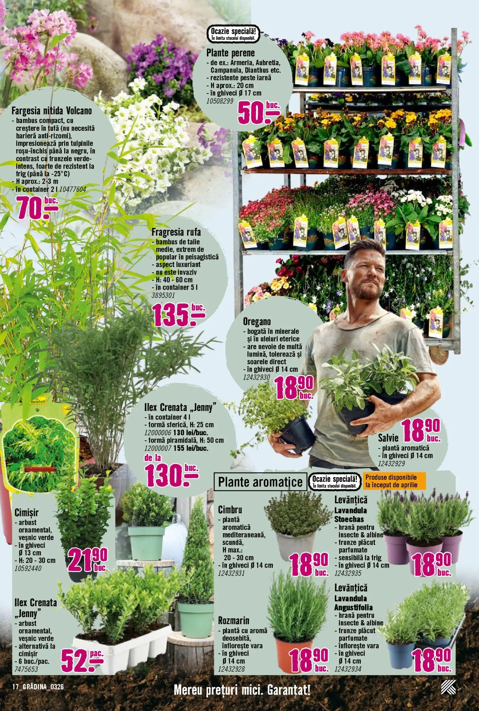 Catalog Hornbach 23 Martie - 21 Aprilie 2026 | Pagina 17 | Produse: Ghiveci, Pește, Demirhindi