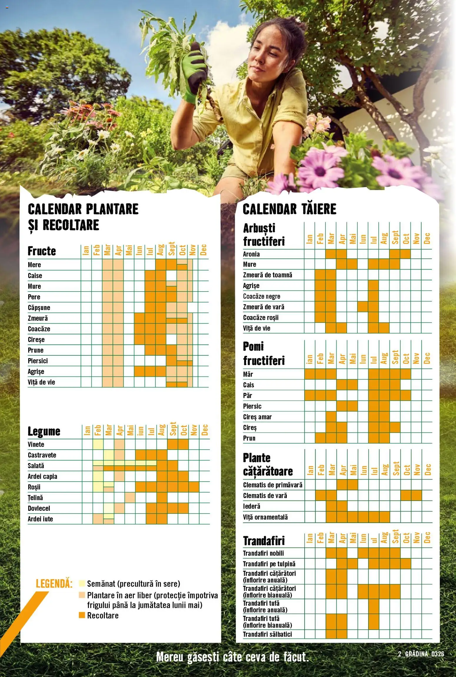 Catalog Hornbach 23 Martie - 21 Aprilie 2026 | Pagina 2 | Produse: Țelină, Ardei, Konuşturucu Kuş Yemleri, Mere