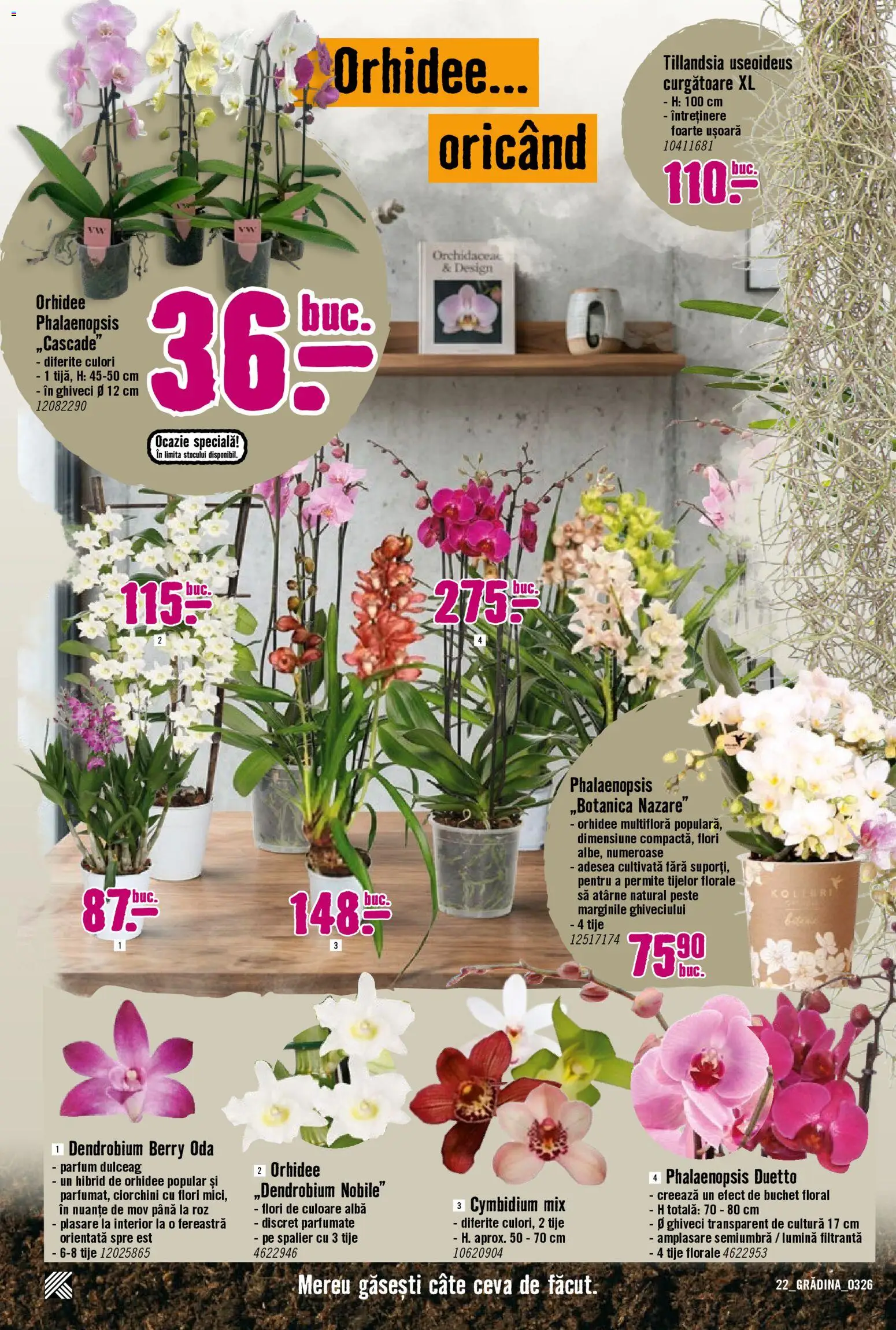 Catalog Hornbach 23 Martie - 21 Aprilie 2026 | Pagina 22 | Produse: Tavuk suyu, Fereastră, Parfum, Pește
