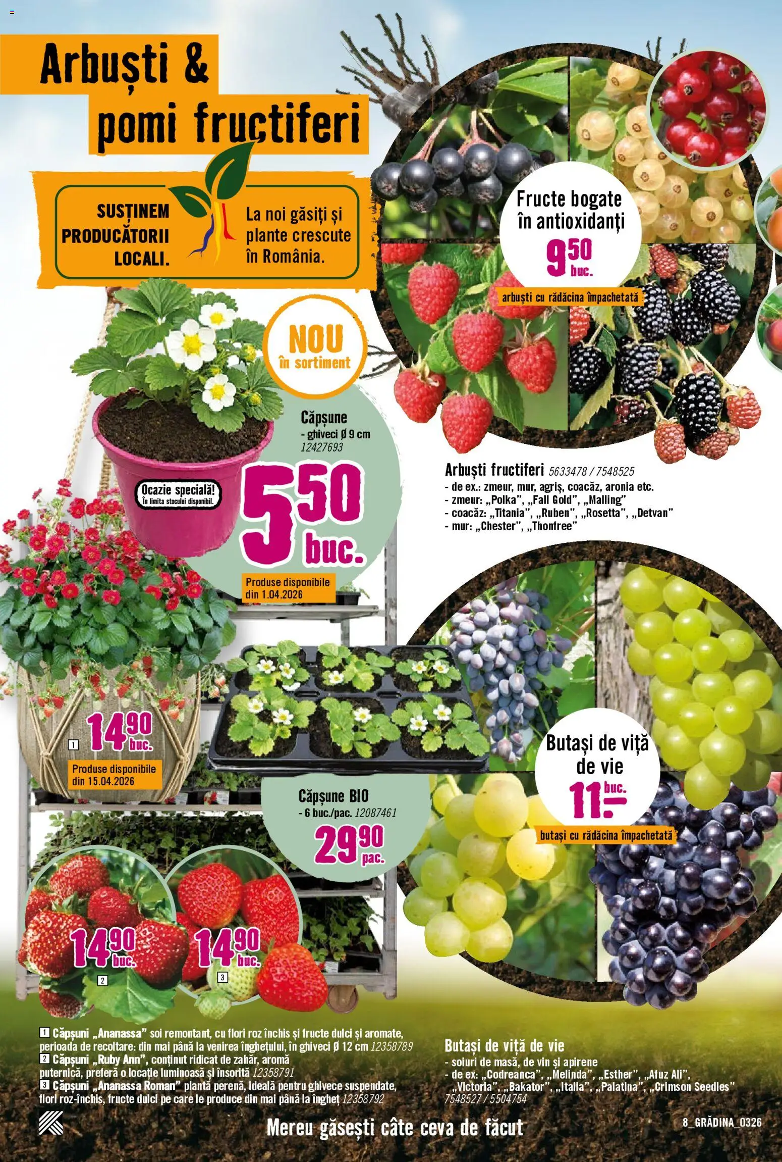 Catalog Hornbach 23 Martie - 21 Aprilie 2026 | Pagina 8 | Produse: Şerit ödül, Ghiveci, Căpșuni, Fructe