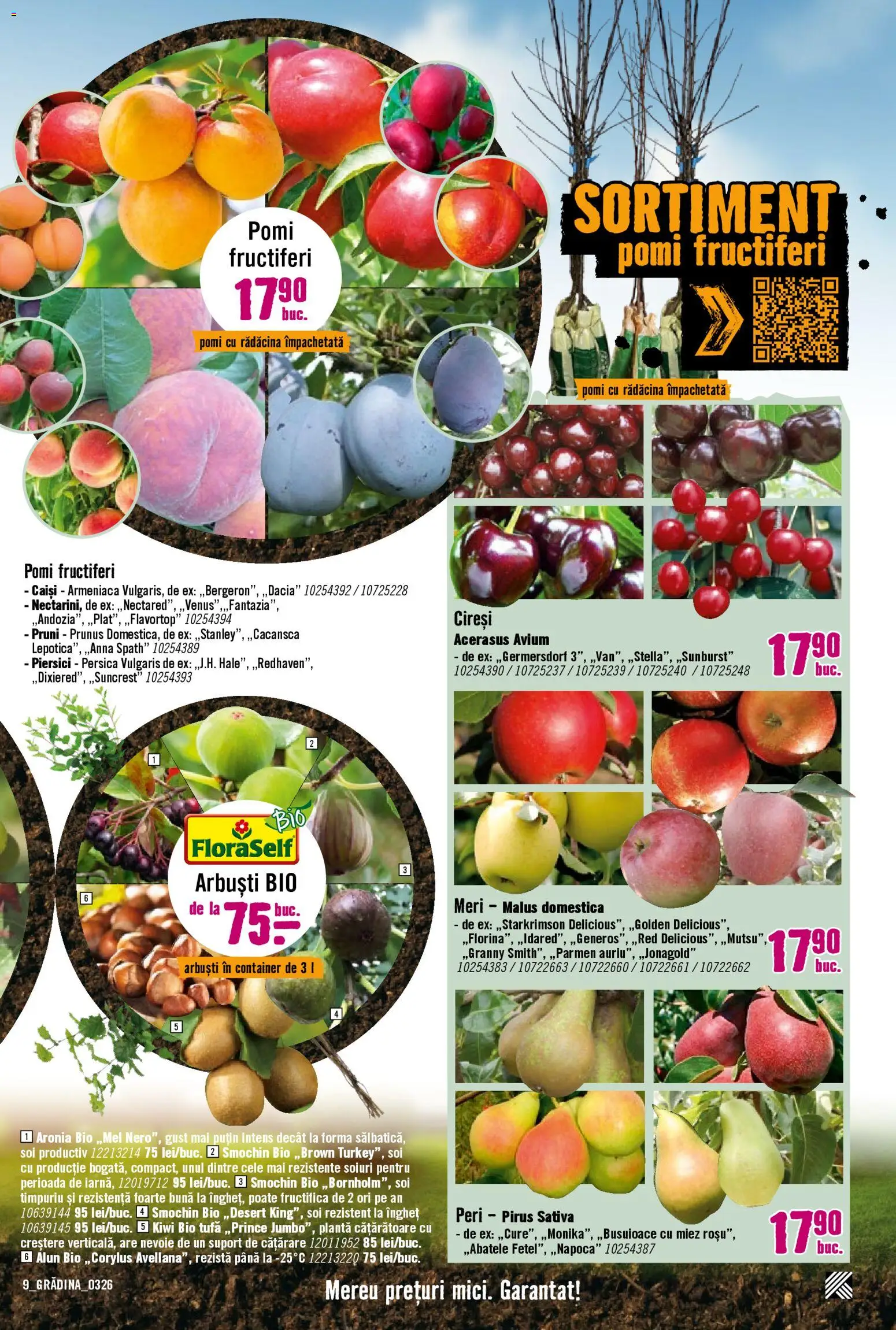 Catalog Hornbach 23 Martie - 21 Aprilie 2026 | Pagina 9 | Produse: Şerit ödül, Kiwi