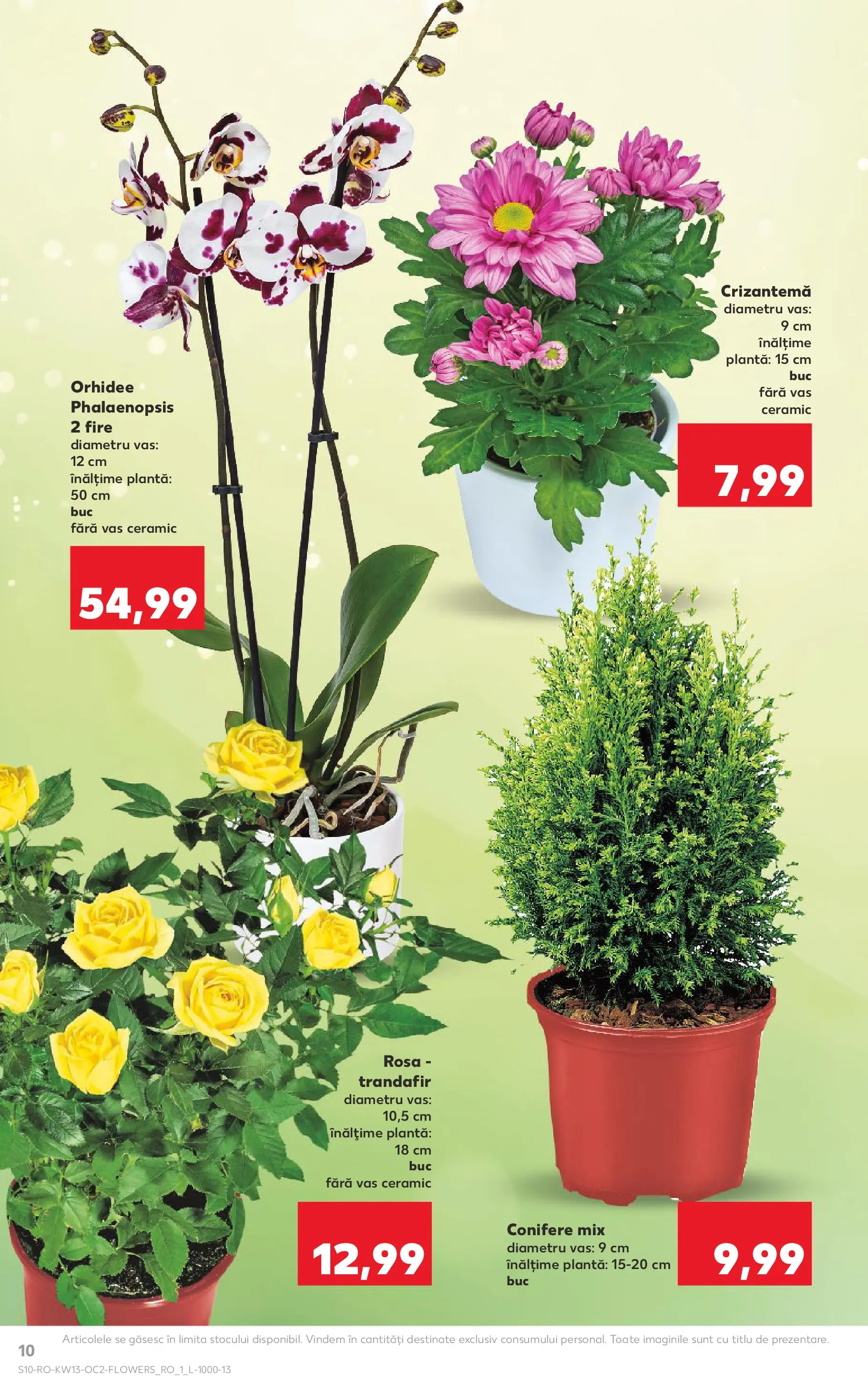 Catalog Kaufland 25 - 30 Martie 2026 | Pagina 10 | Produse: Trandafir, Orhidee