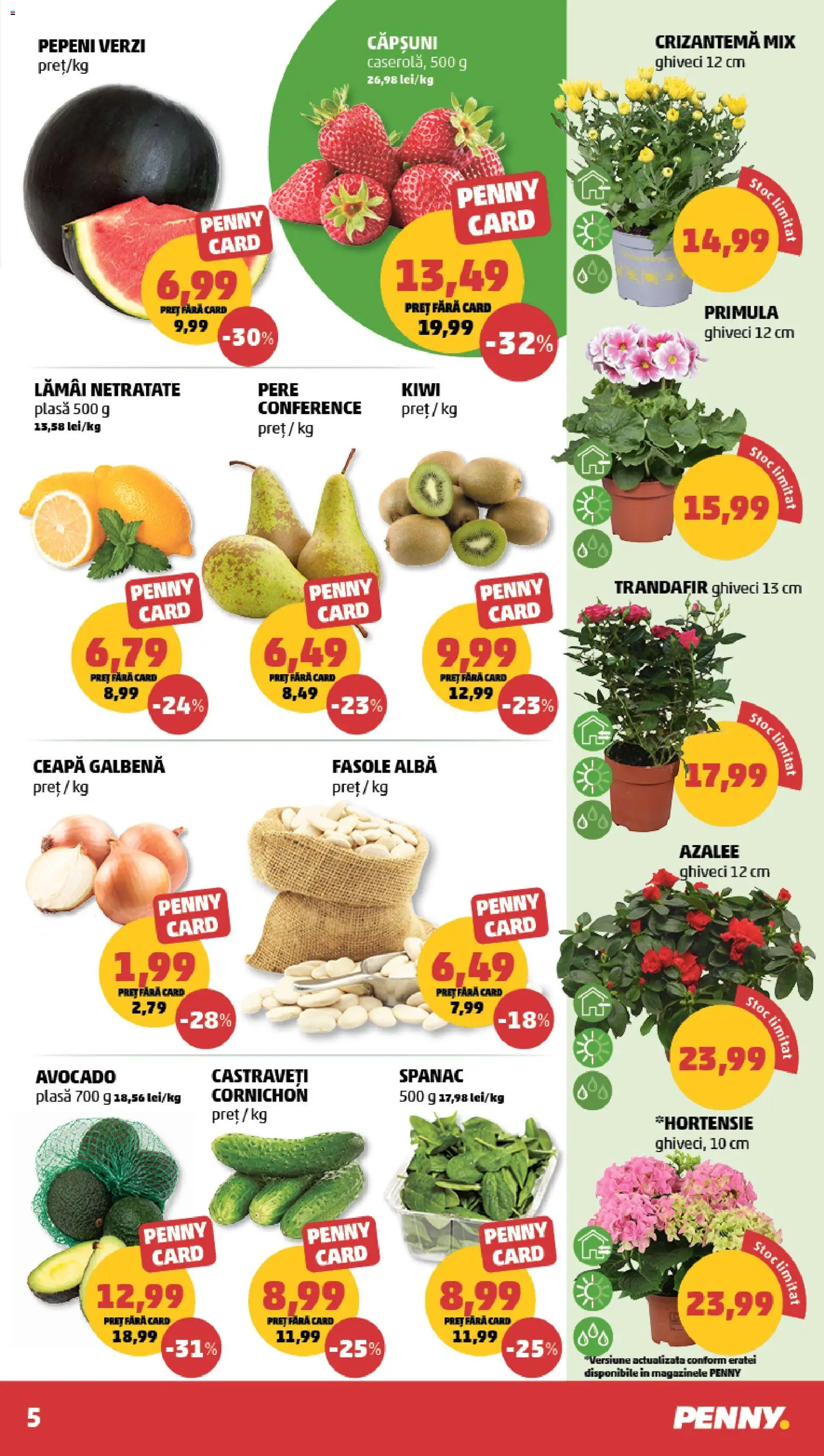 Catalog PENNY Market 25 - 30 Martie 2026 | Pagina 5 | Produse: Trandafir, Ceapă galbenă, Căpșuni, Fasole albă