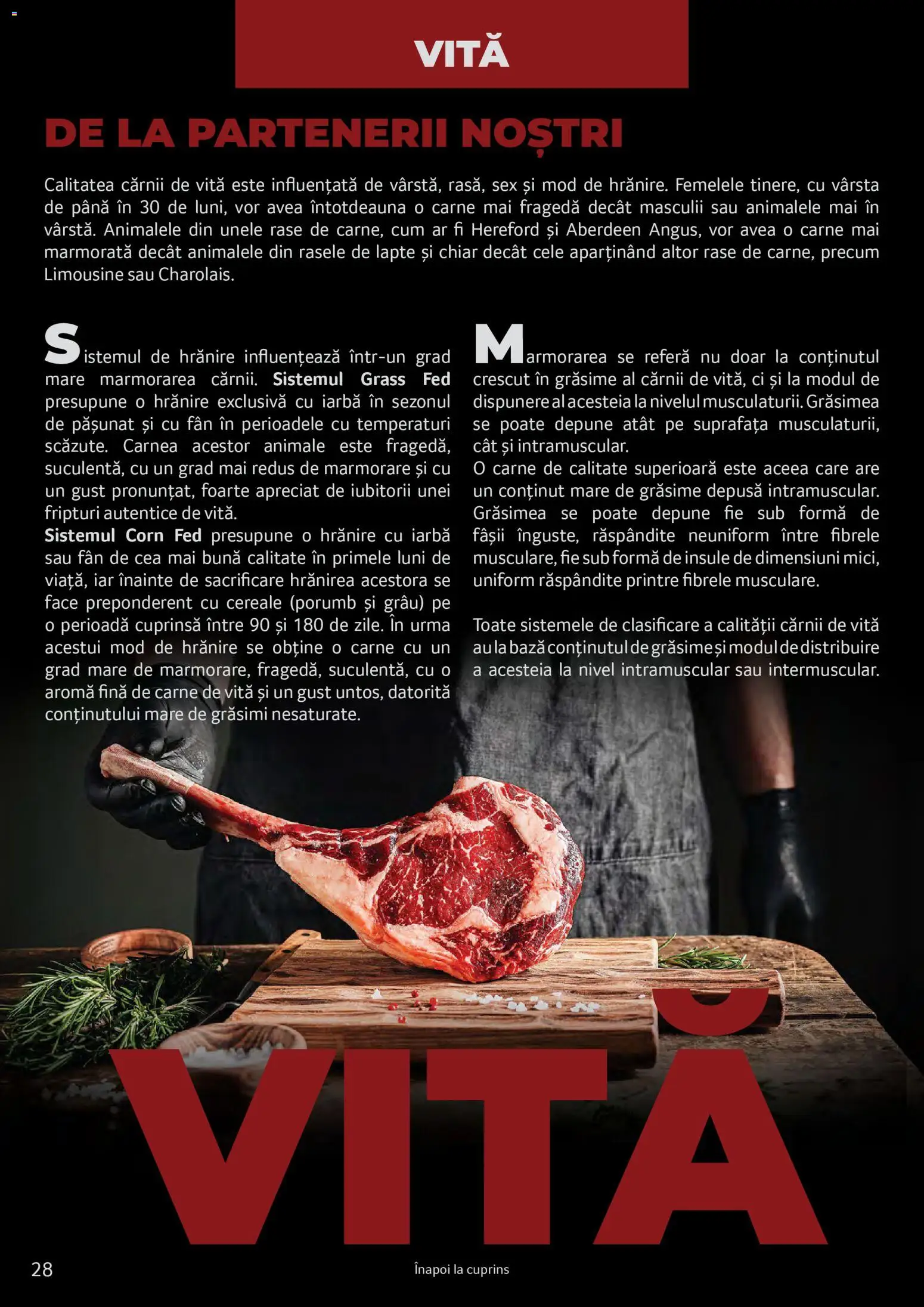 Catalog Selgros 25 2026 - 30 Martie 2027 | Pagina 28 | Produse: Lapte, Carne De Vită, Cereale, Porumb