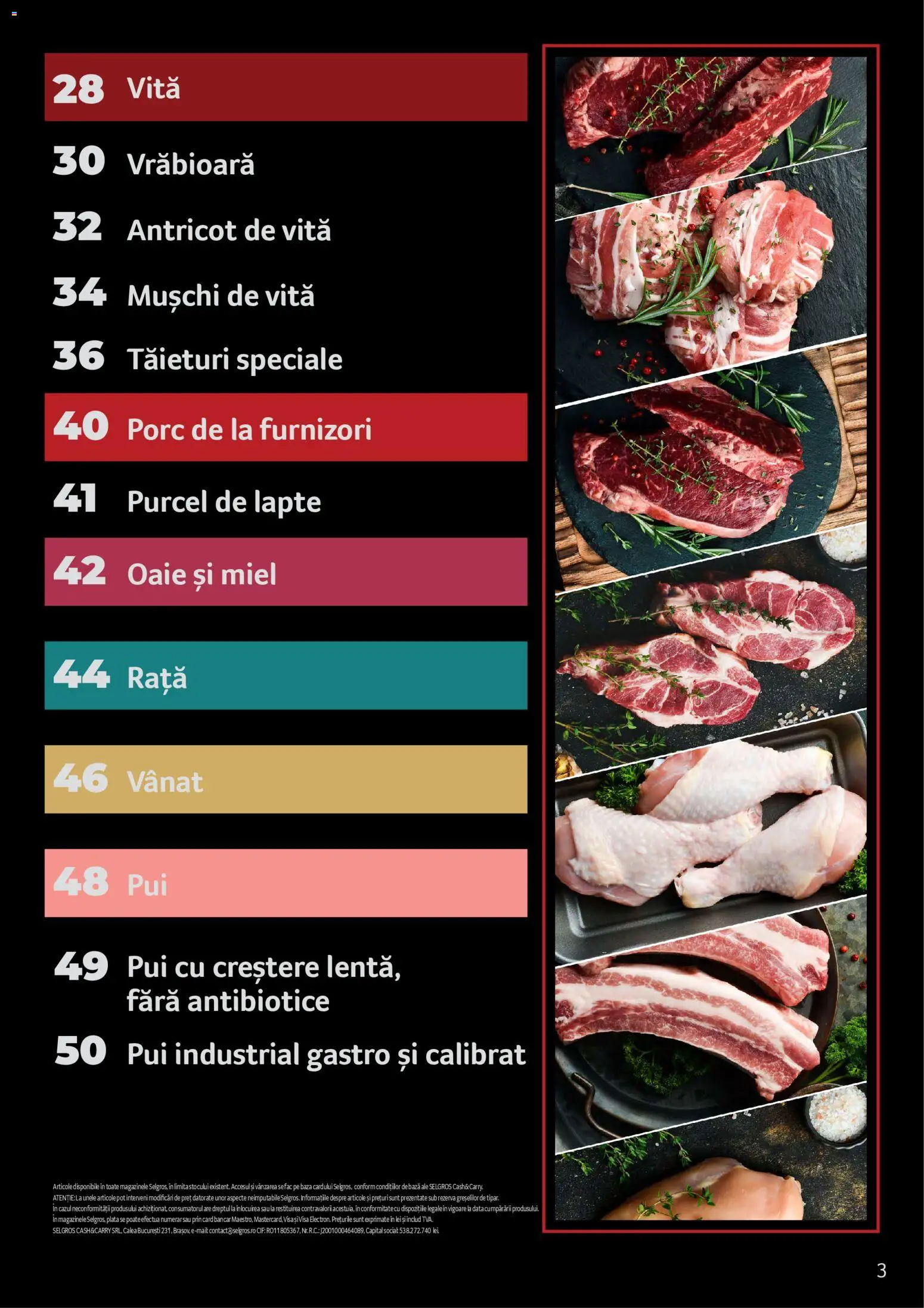 Catalog Selgros 25 2026 - 30 Martie 2027 | Pagina 3 | Produse: Hacıyatmaz Kedi Oyuncağı, Yağ sökücü, Rață, Lapte