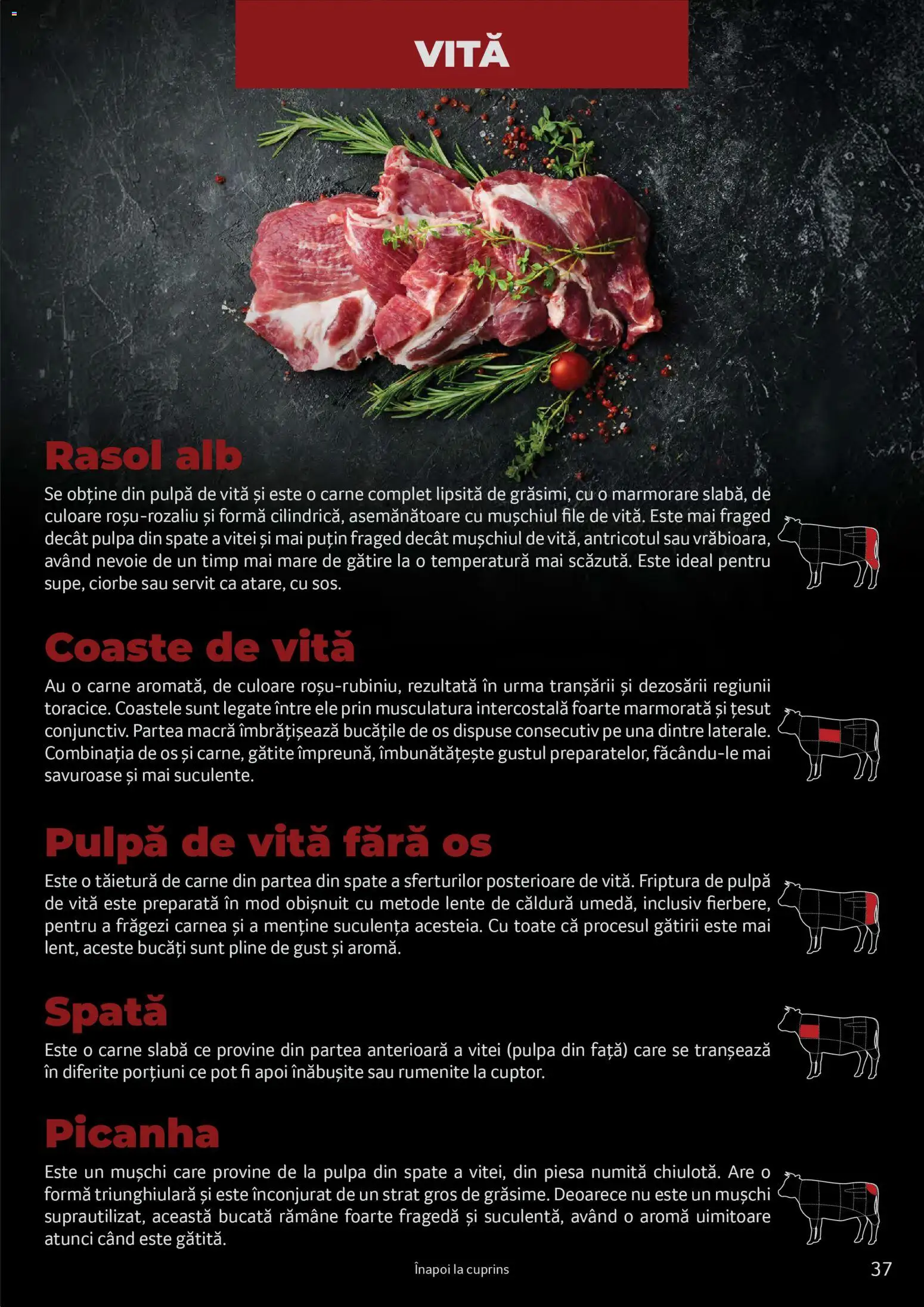 Catalog Selgros 25 2026 - 30 Martie 2027 | Pagina 37 | Produse: Rasol