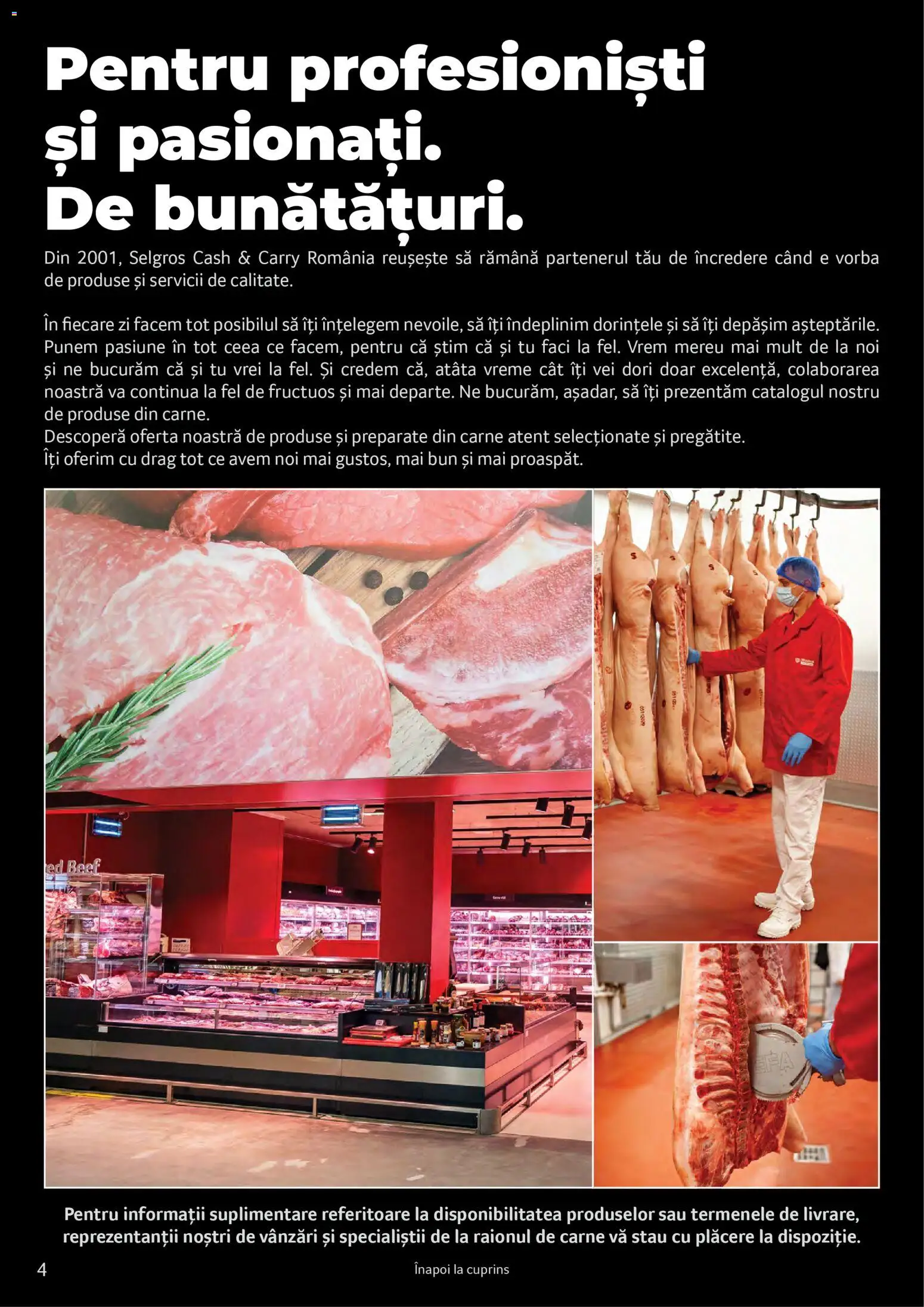 Catalog Selgros 25 2026 - 30 Martie 2027 | Pagina 4