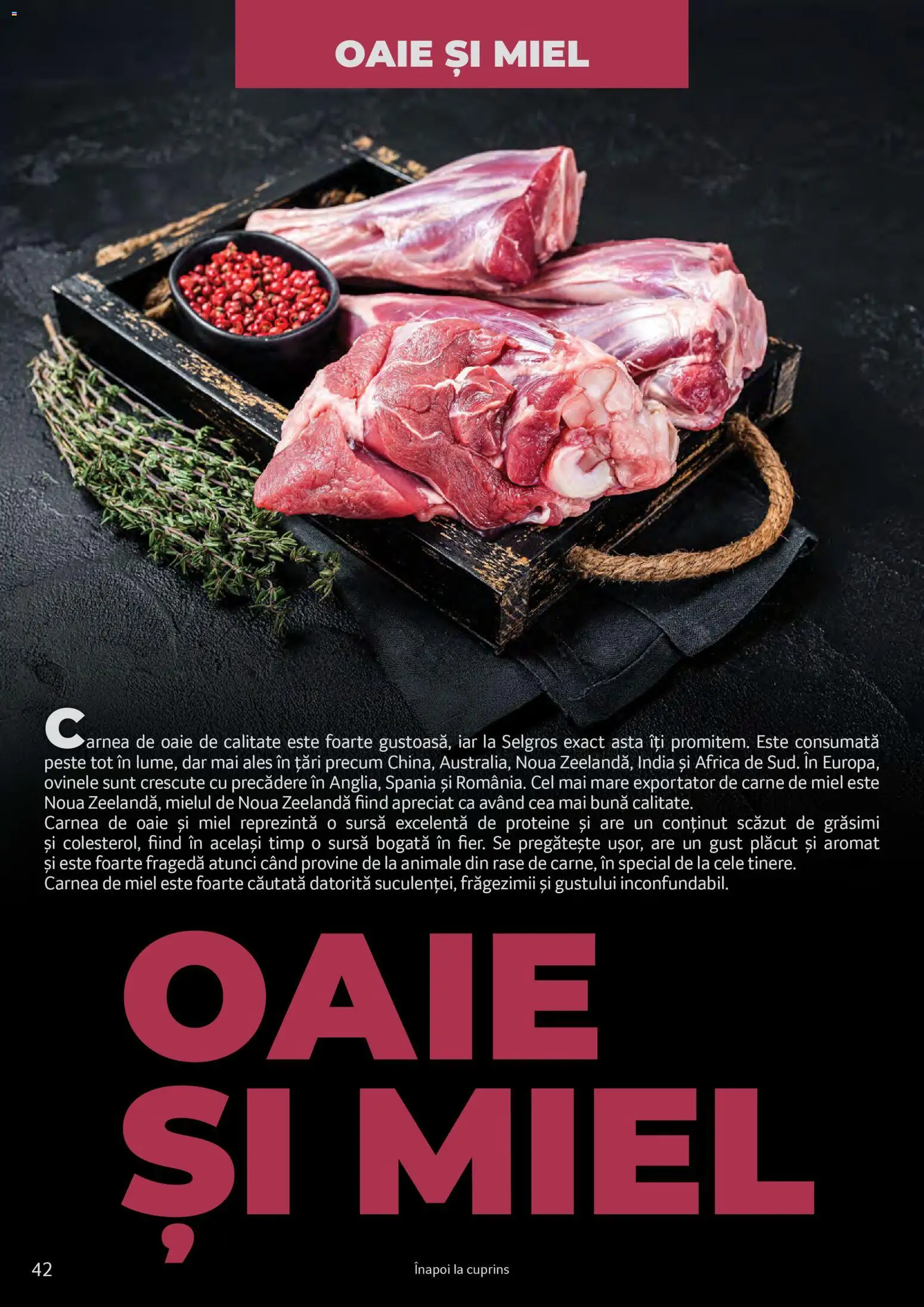 Catalog Selgros 25 2026 - 30 Martie 2027 | Pagina 42 | Produse: Masaüstü kılıfı, Pește