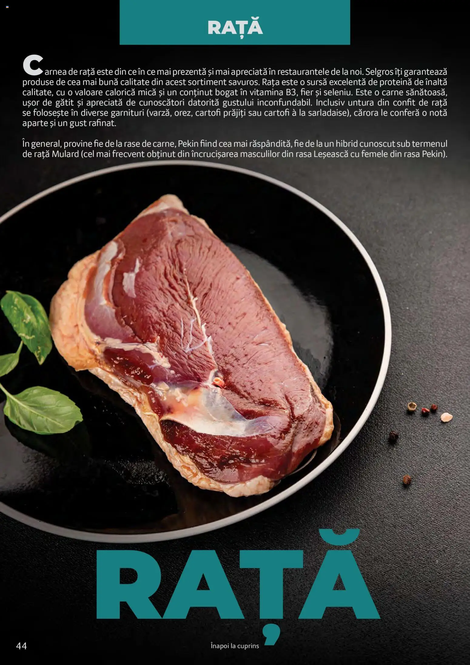 Catalog Selgros 25 2026 - 30 Martie 2027 | Pagina 44 | Produse: Rață, Cartofi