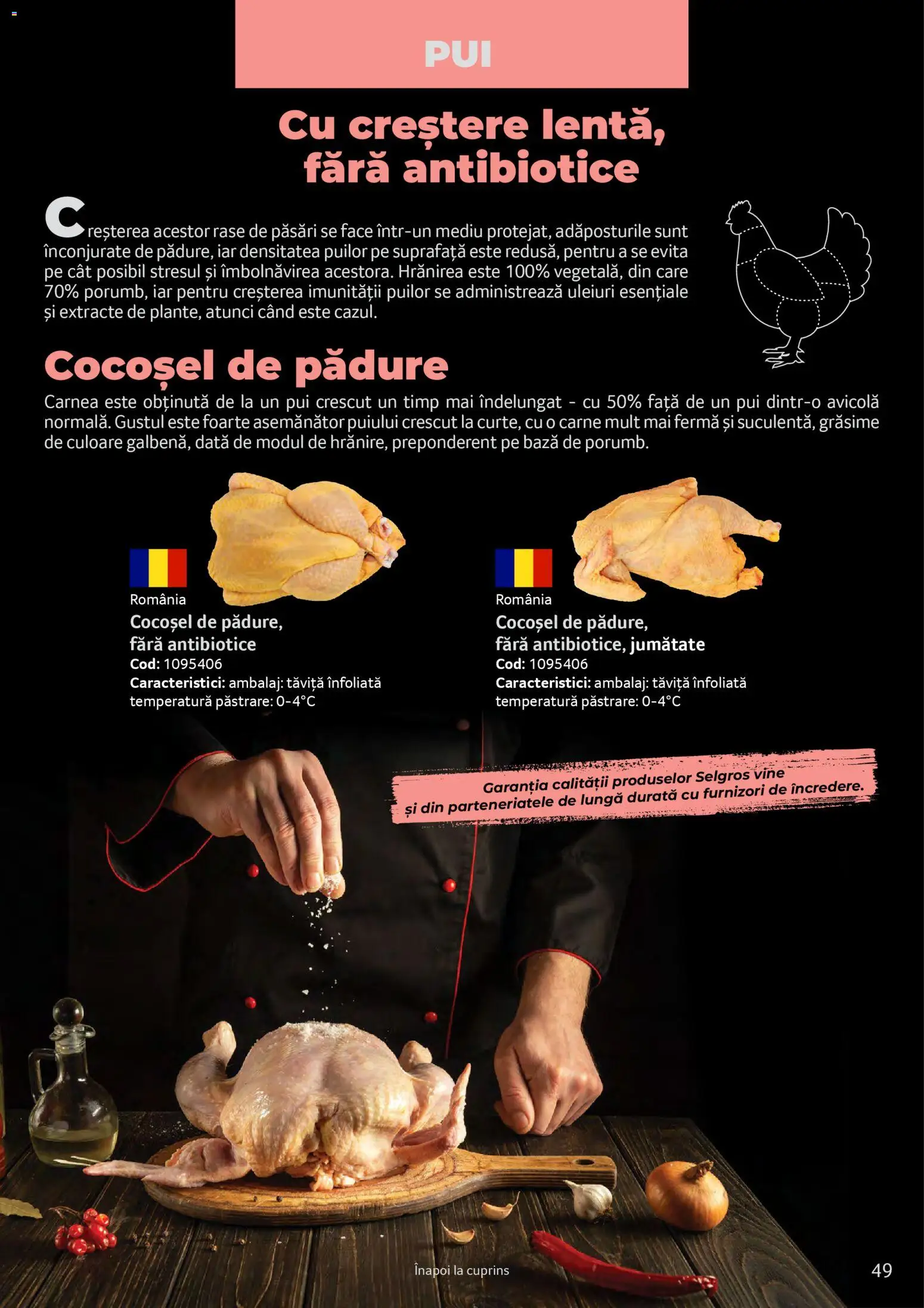 Catalog Selgros 25 2026 - 30 Martie 2027 | Pagina 49 | Produse: Hacıyatmaz Kedi Oyuncağı