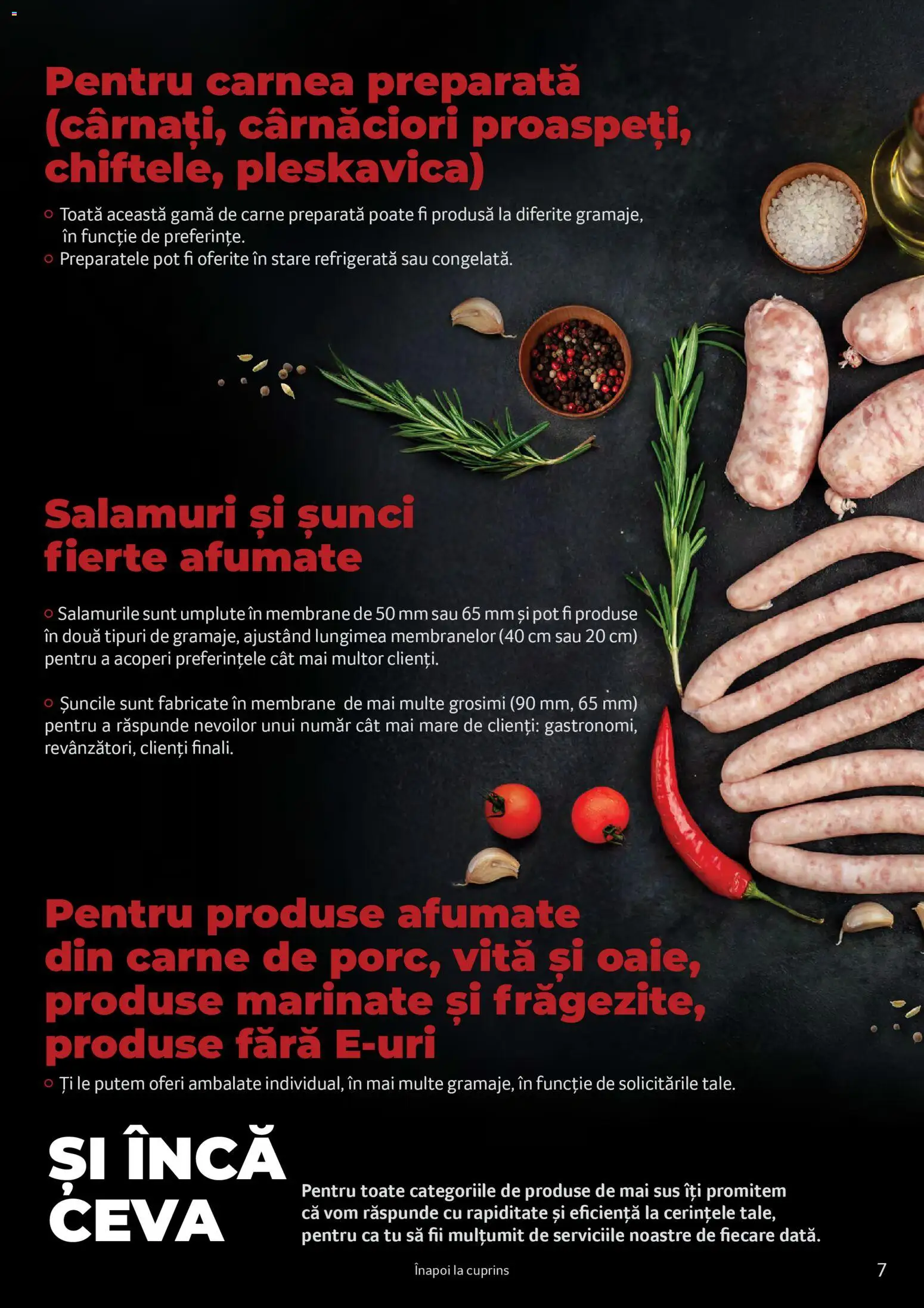 Catalog Selgros 25 2026 - 30 Martie 2027 | Pagina 7