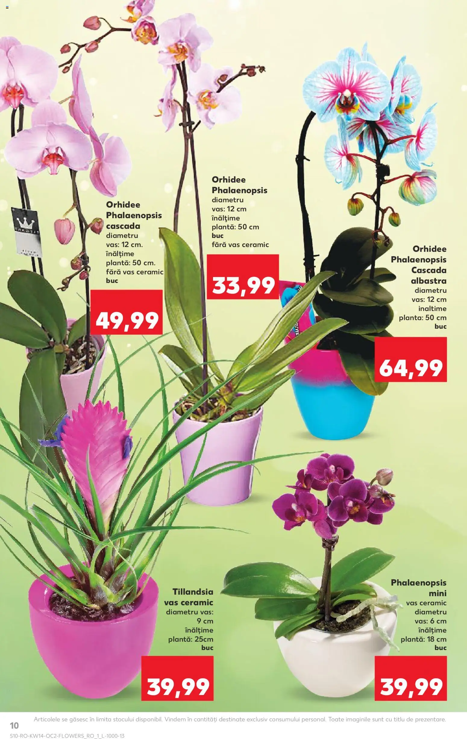Catalog Kaufland 1 - 6 Aprilie 2026 | Pagina 10 | Produse: Orhidee