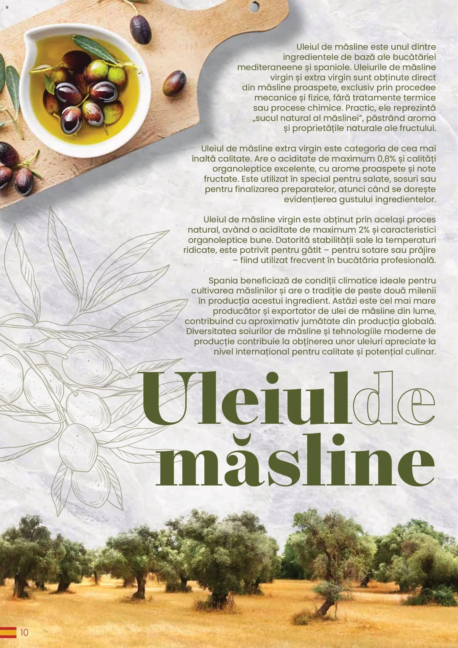 Catalog METRO 30 Martie - 30 Decembrie 2026 | Pagina 10 | Produse: Măsline, Ulei, Pește