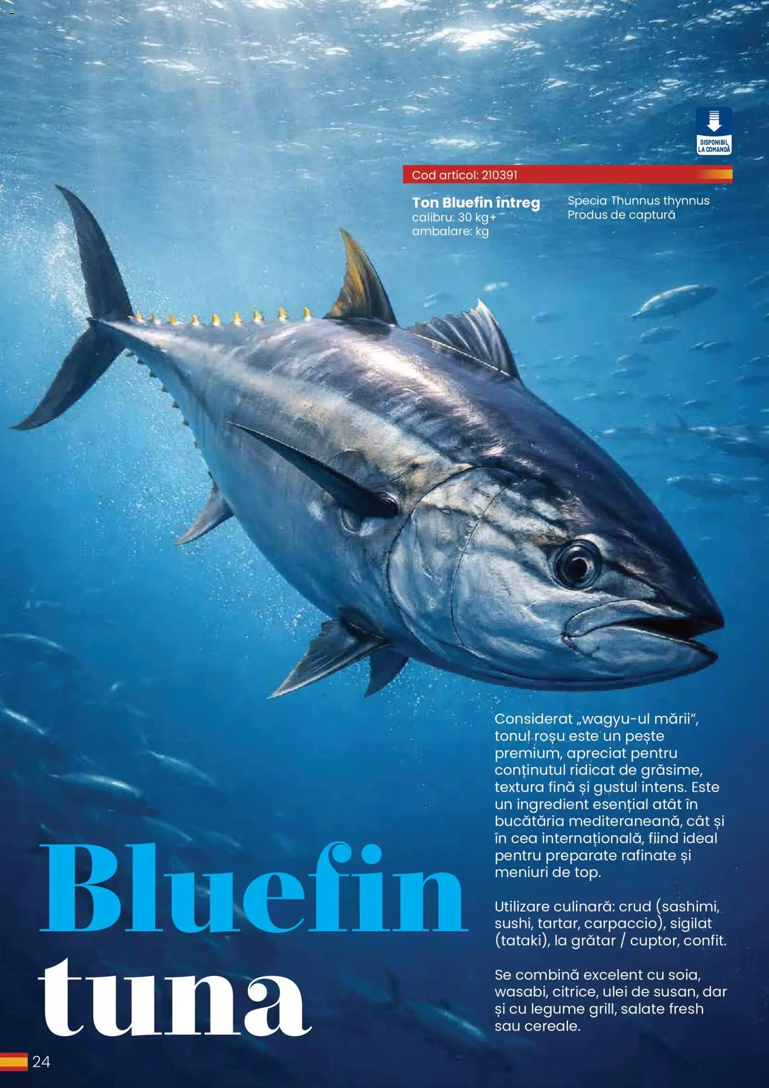 Catalog METRO 30 Martie - 30 Decembrie 2026 | Pagina 24 | Produse: Grătar, Ulei, Pește, Legume