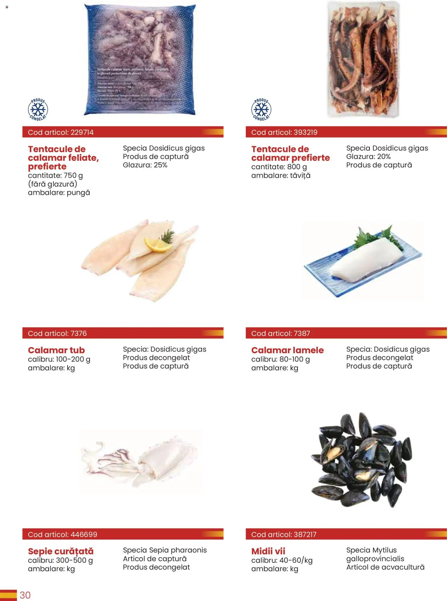 Catalog METRO 30 Martie - 30 Decembrie 2026 | Pagina 30 | Produse: Pungă