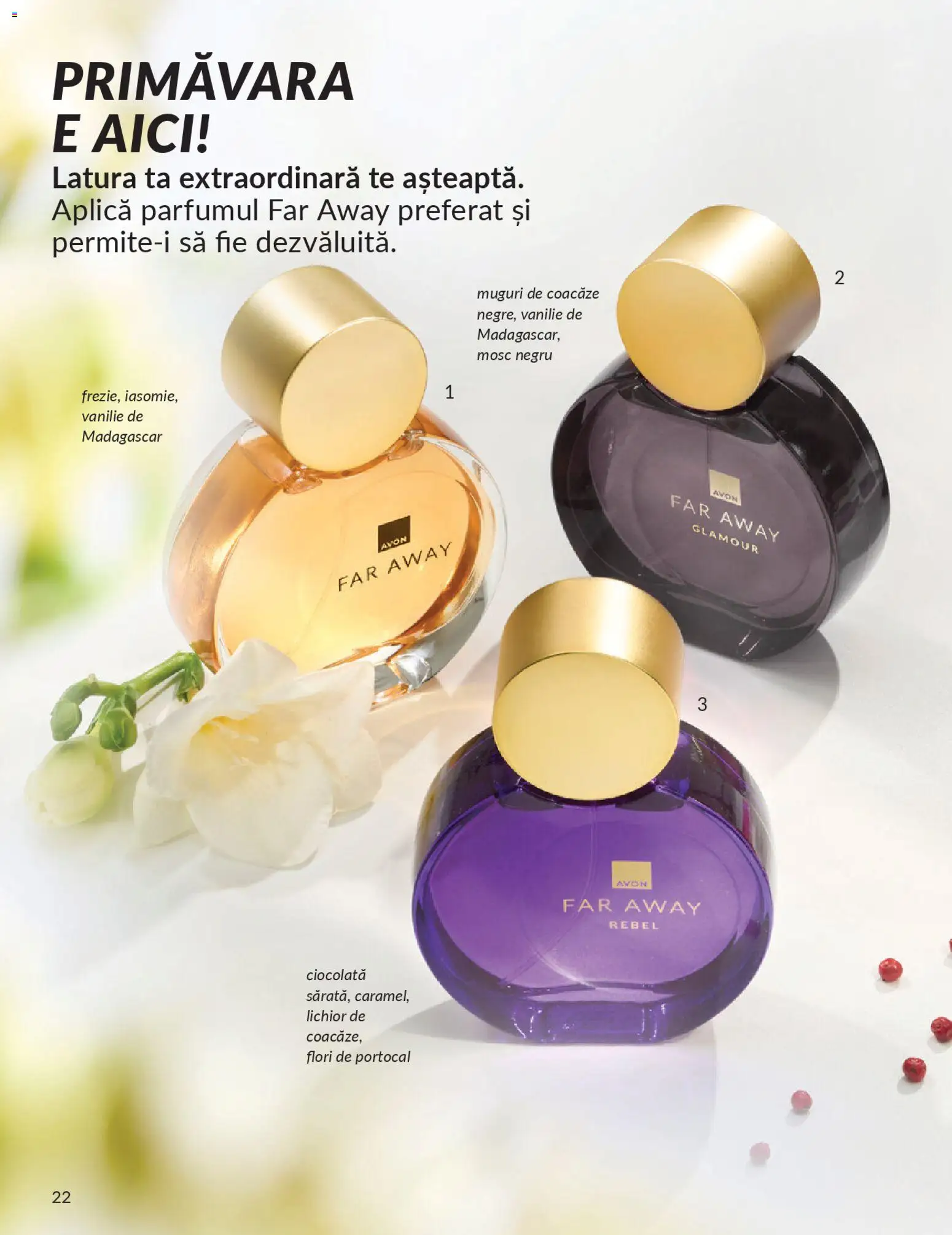 Catalog Avon 1 - 29 Aprilie 2026 | Pagina 24 | Produse: Lichior, Ciocolată