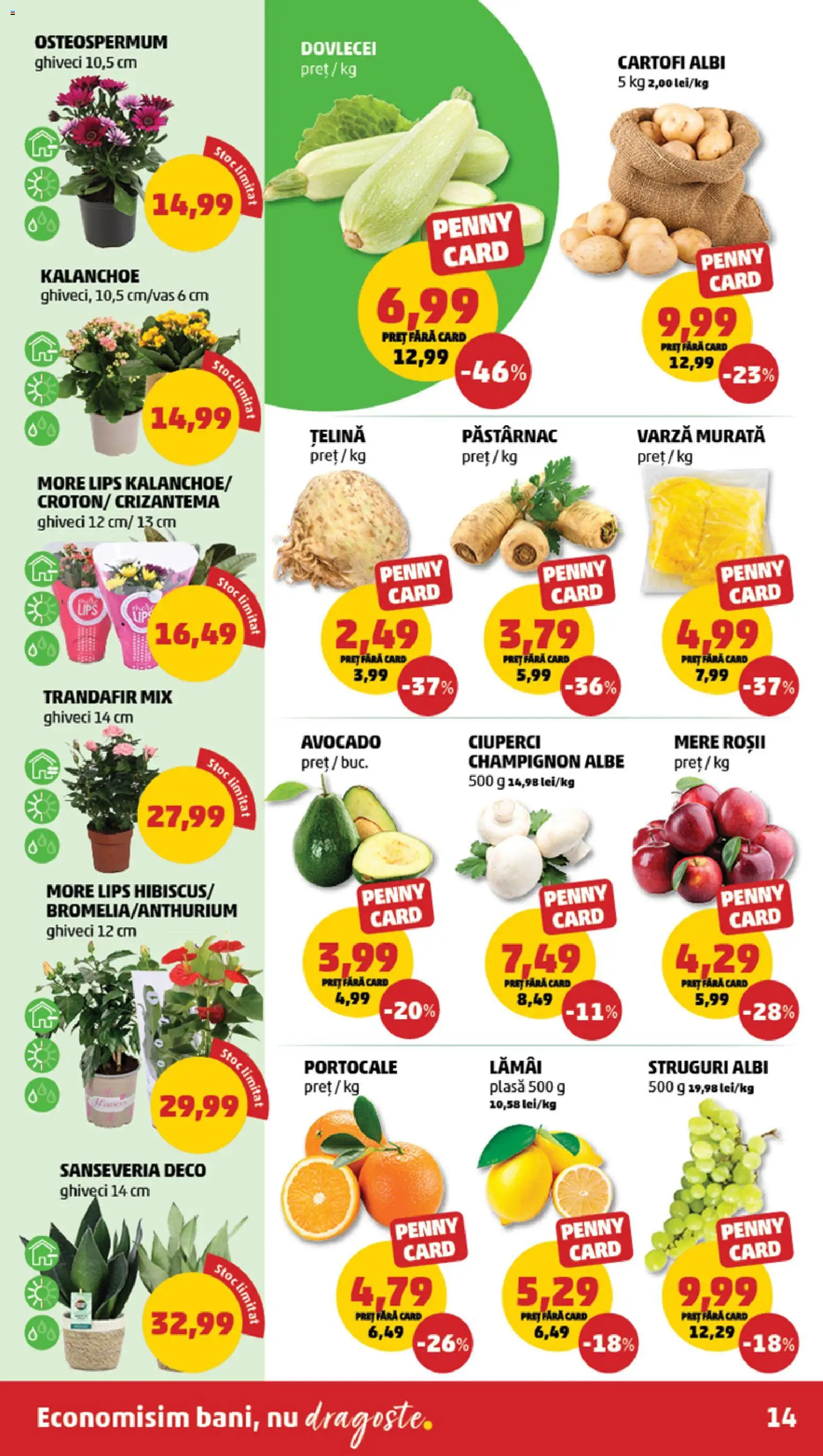 Catalog PENNY Market 1 - 6 Aprilie 2026 | Pagina 14 | Produse: Țelină, Ciuperci, Mere, Portocale