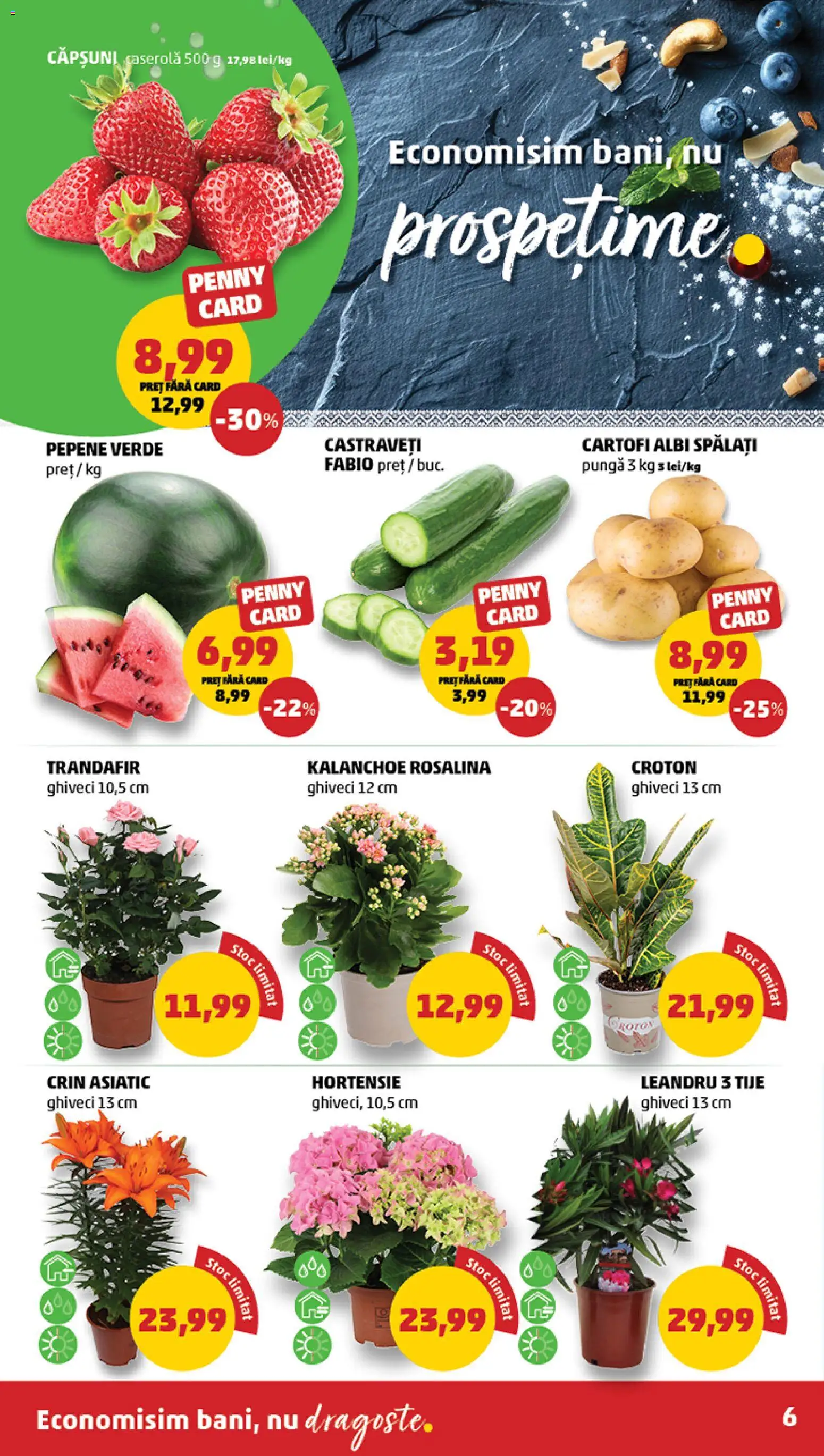 Catalog PENNY Market 8 - 13 Aprilie 2026 | Pagina 6 | Produse: Pungă, Ghiveci, Căpșuni, Cartofi