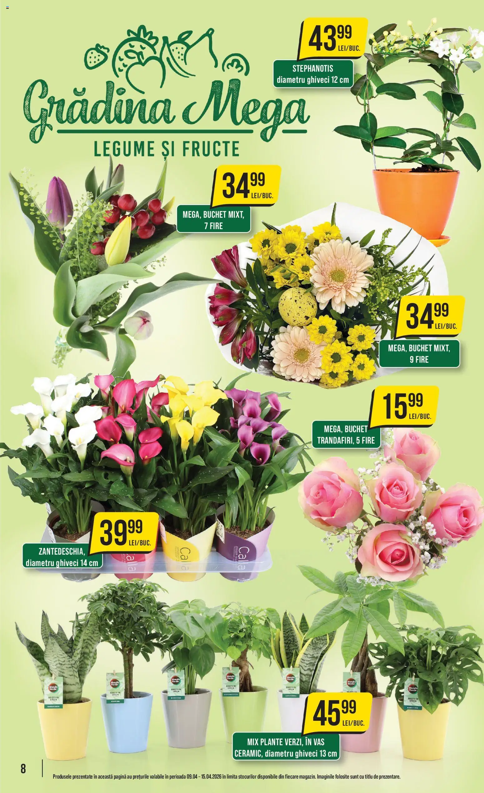 Catalog Mega Image 9 - 14 Aprilie 2026 | Pagina 8 | Produse: Ghiveci, Legume, Fructe