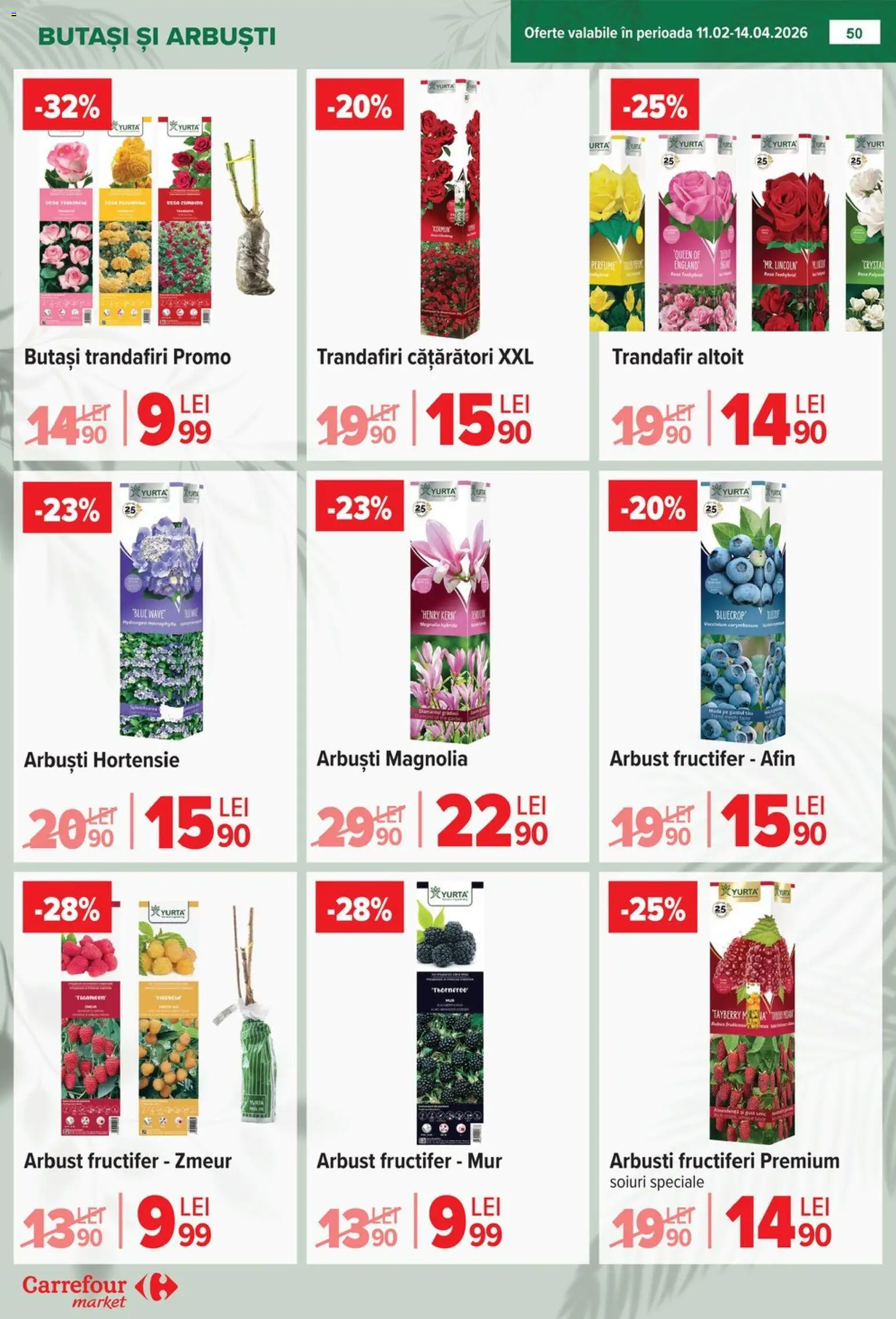 Catalog Carrefour 6 - 13 Aprilie 2026 | Pagina 51 | Produse: Babak, Ghiveci, Paste