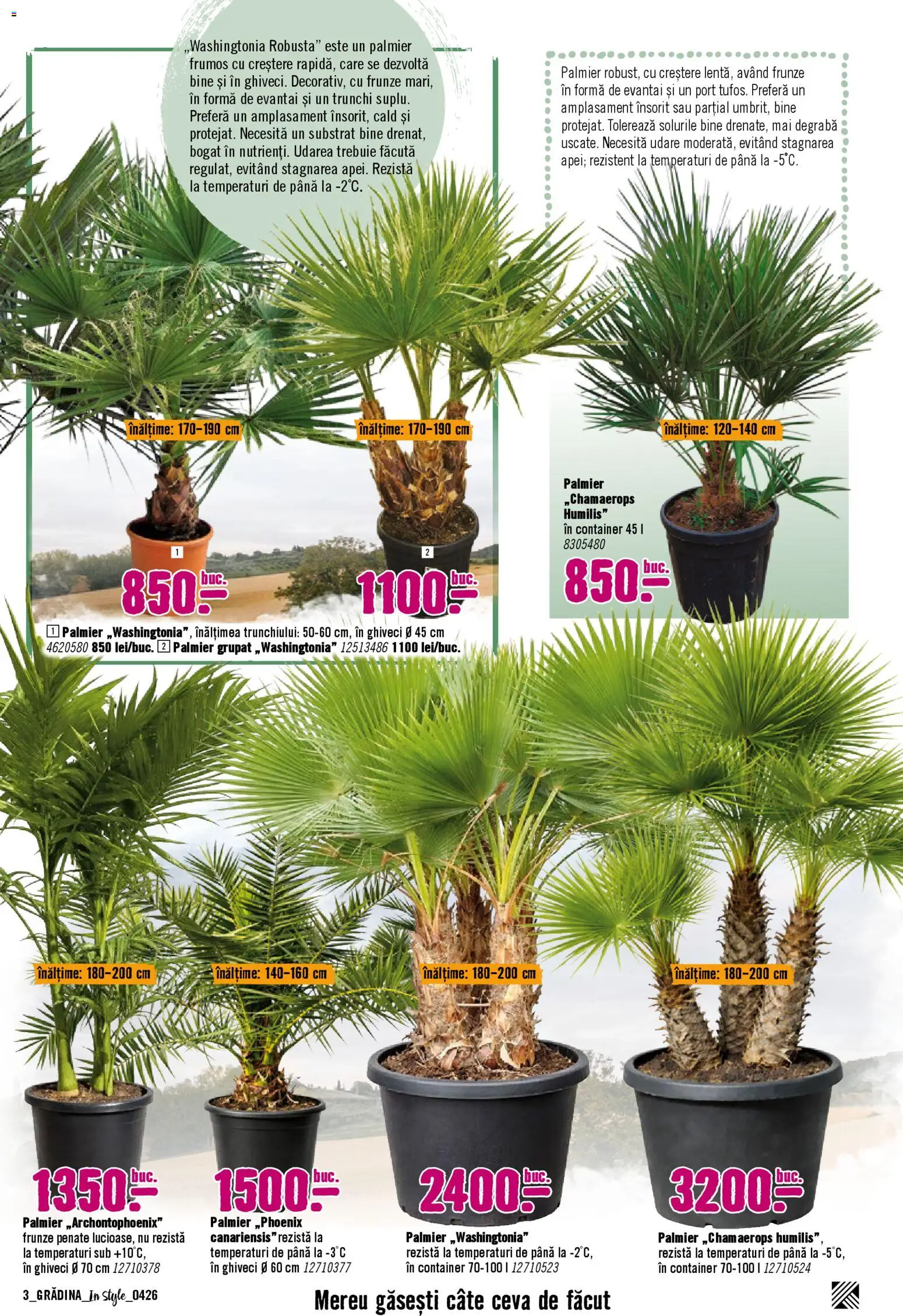 Catalog Hornbach 6 Aprilie - 30 Mai 2026 | Pagina 3 | Produse: Ghiveci