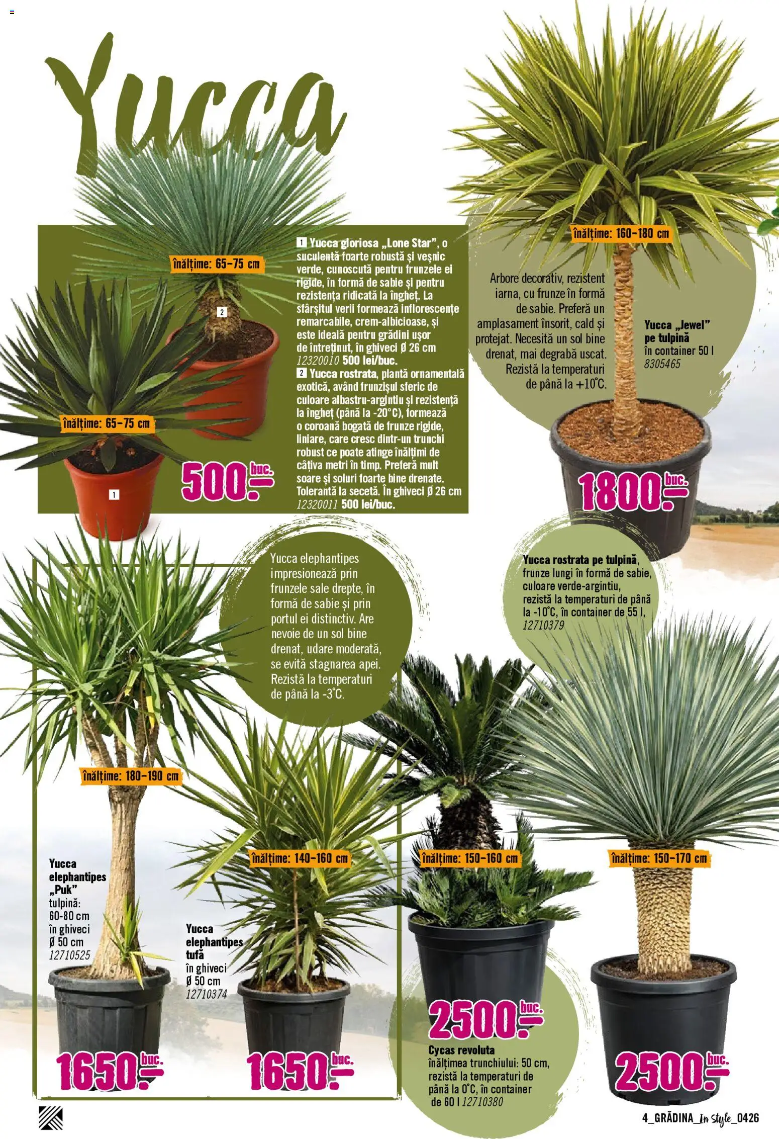Catalog Hornbach 6 Aprilie - 30 Mai 2026 | Pagina 4 | Produse: Ghiveci