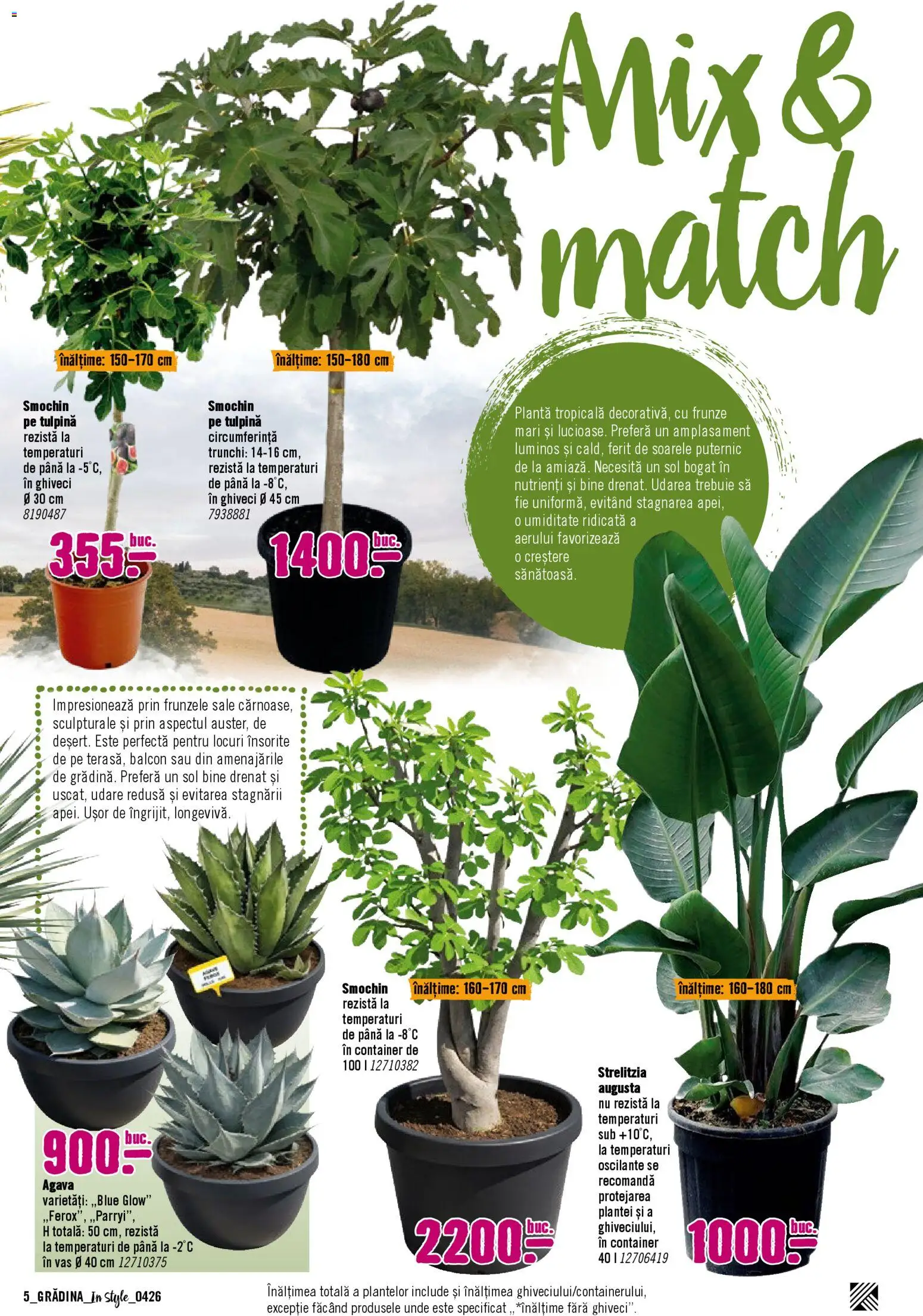 Catalog Hornbach 6 Aprilie - 30 Mai 2026 | Pagina 5 | Produse: Ghiveci