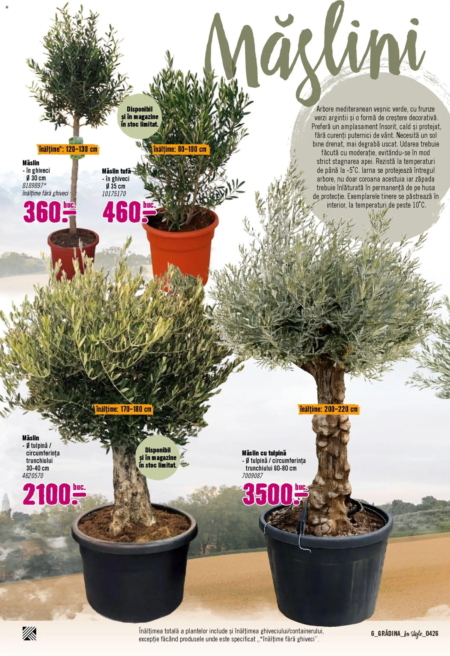 Catalog Hornbach 6 Aprilie - 30 Mai 2026 | Pagina 6 | Produse: Ghiveci, Pește