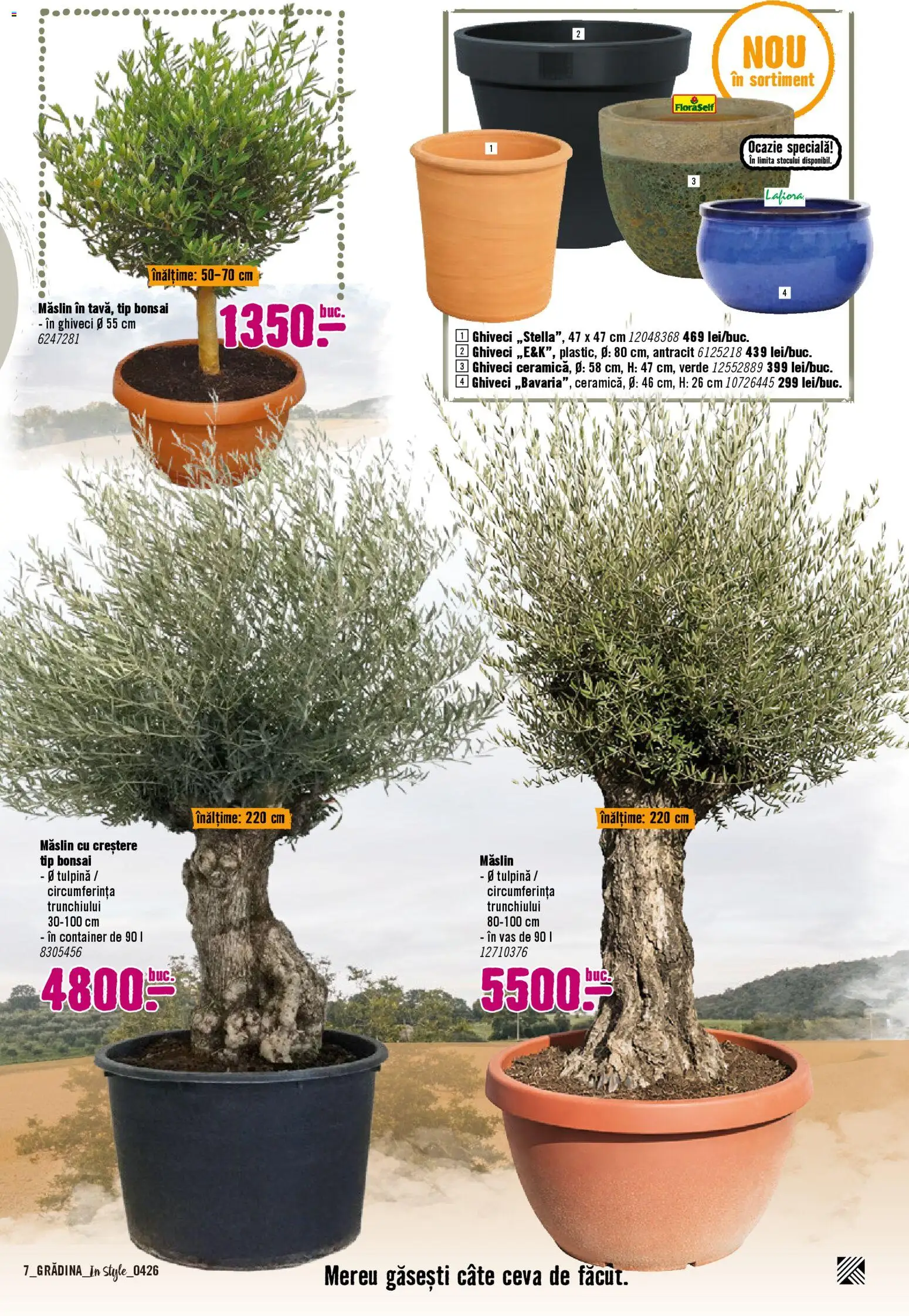 Catalog Hornbach 6 Aprilie - 30 Mai 2026 | Pagina 7 | Produse: Ghiveci