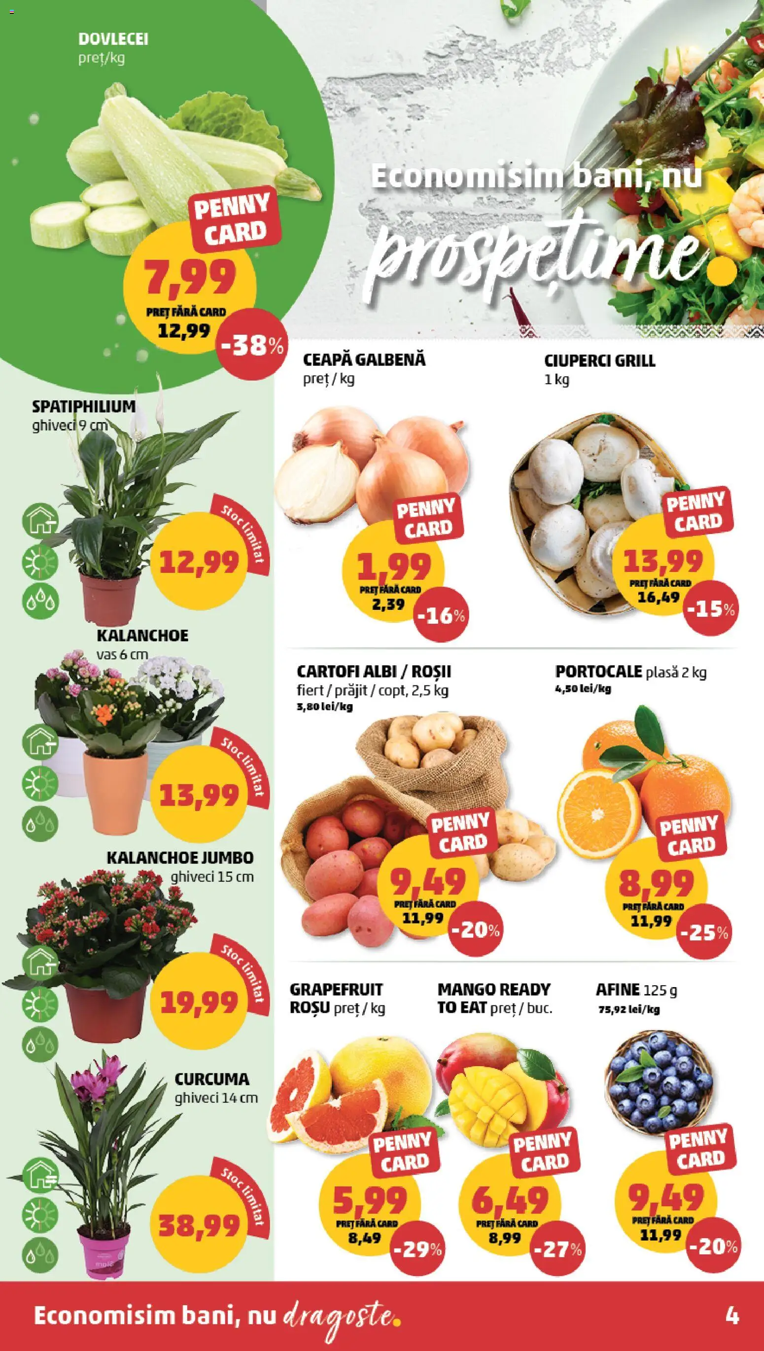 Catalog PENNY Market 15 - 20 Aprilie 2026 | Pagina 4 | Produse: Grill, Ceapă galbenă, Ceapă, Mango