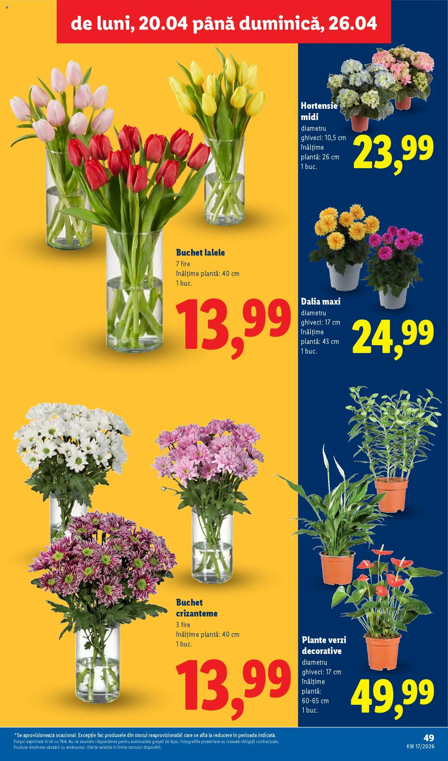 Catalog LIDL 20 - 25 Aprilie 2026 | Pagina 49 | Produse: Ghiveci
