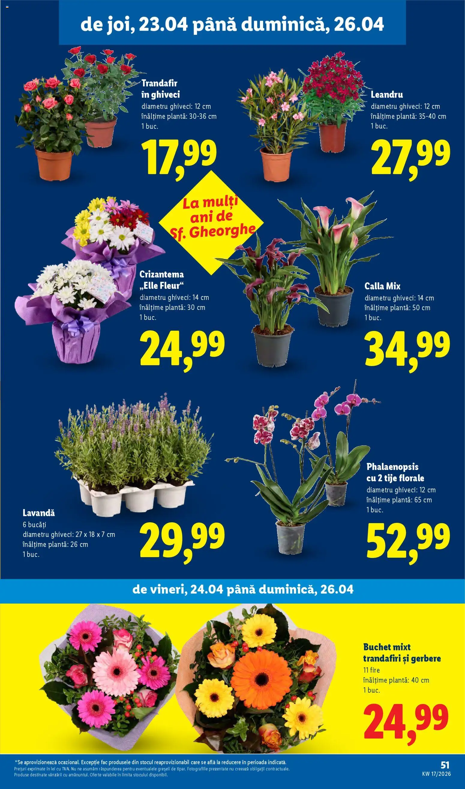 Catalog LIDL 20 - 25 Aprilie 2026 | Pagina 51 | Produse: Trandafir, Ghiveci