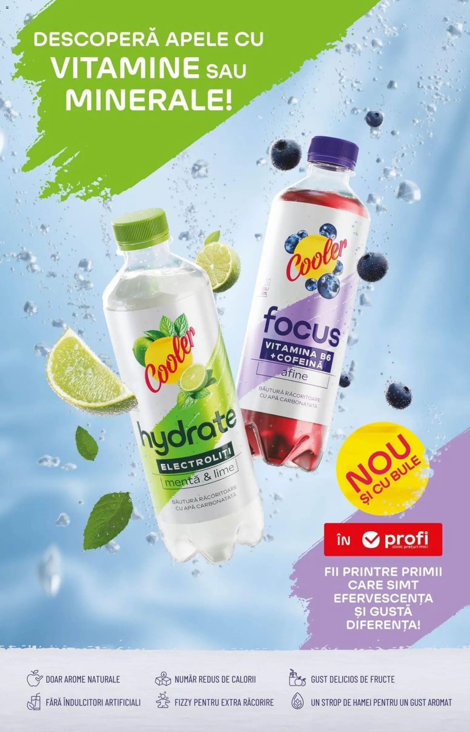 Catalog Profi 15 - 27 Aprilie 2026 | Pagina 15 | Produse: Lime, Afine, Apă, Fructe